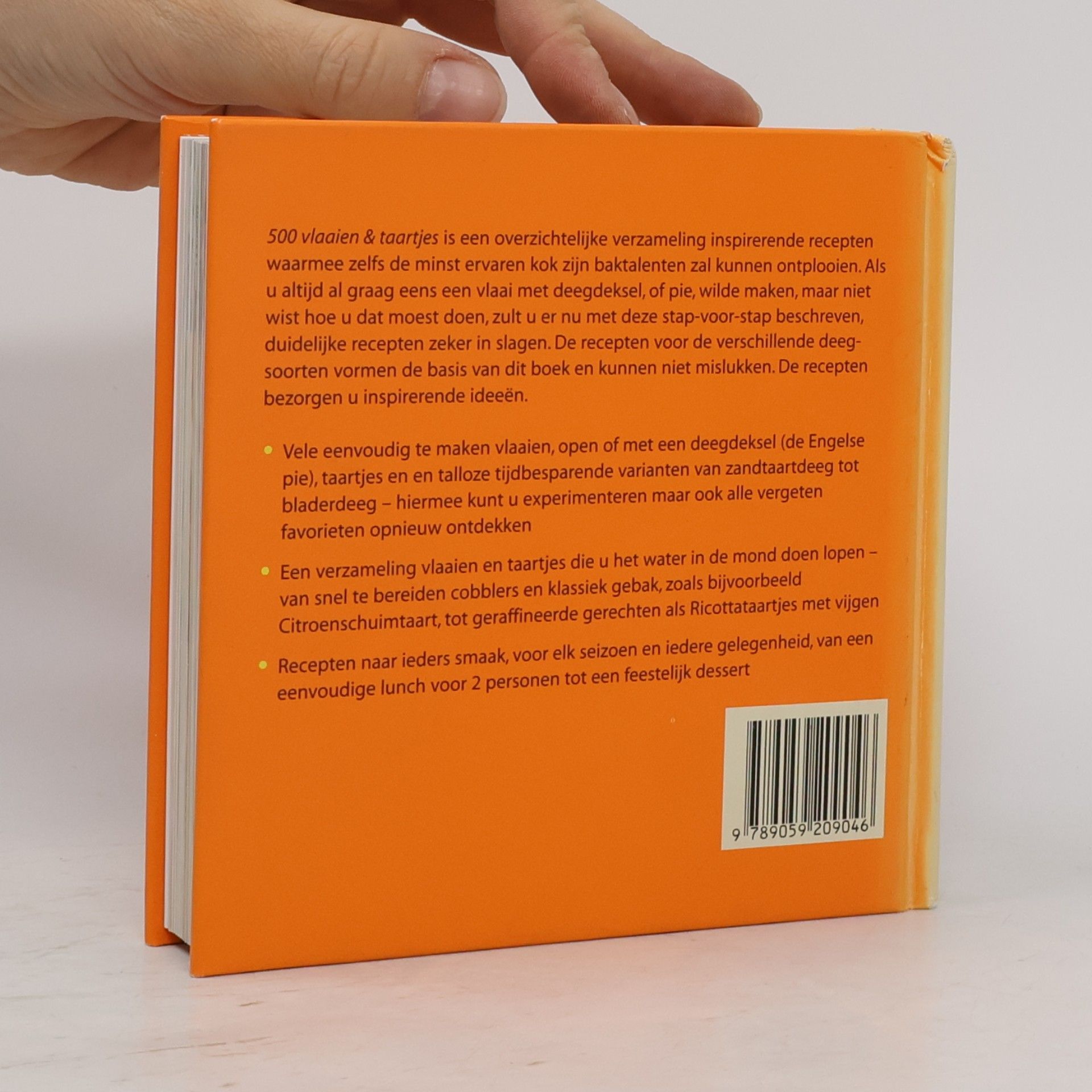 Rebecca Baugniet 500 vlaaien & taartjes - druk 5