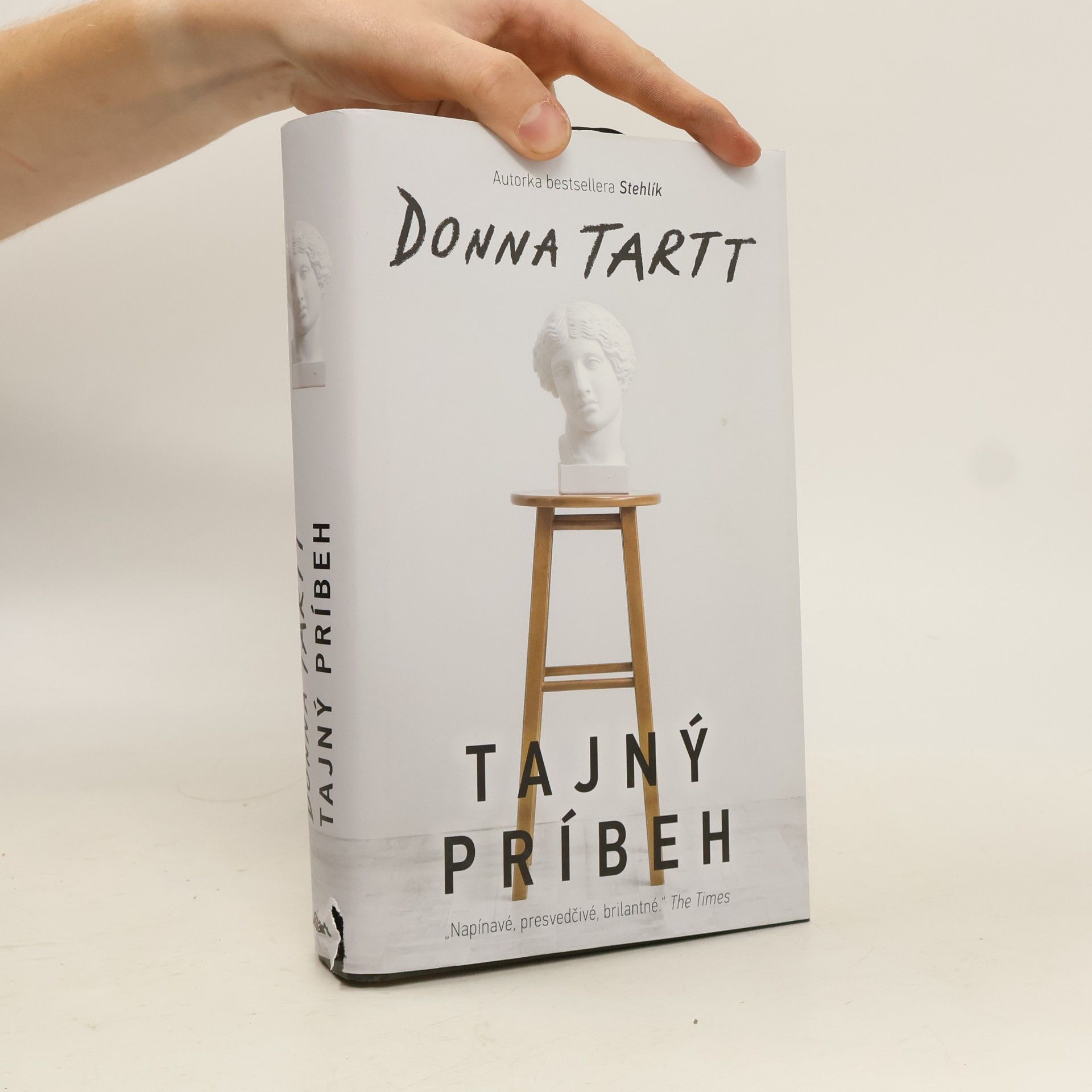 Donna Tartt Tajný príbeh