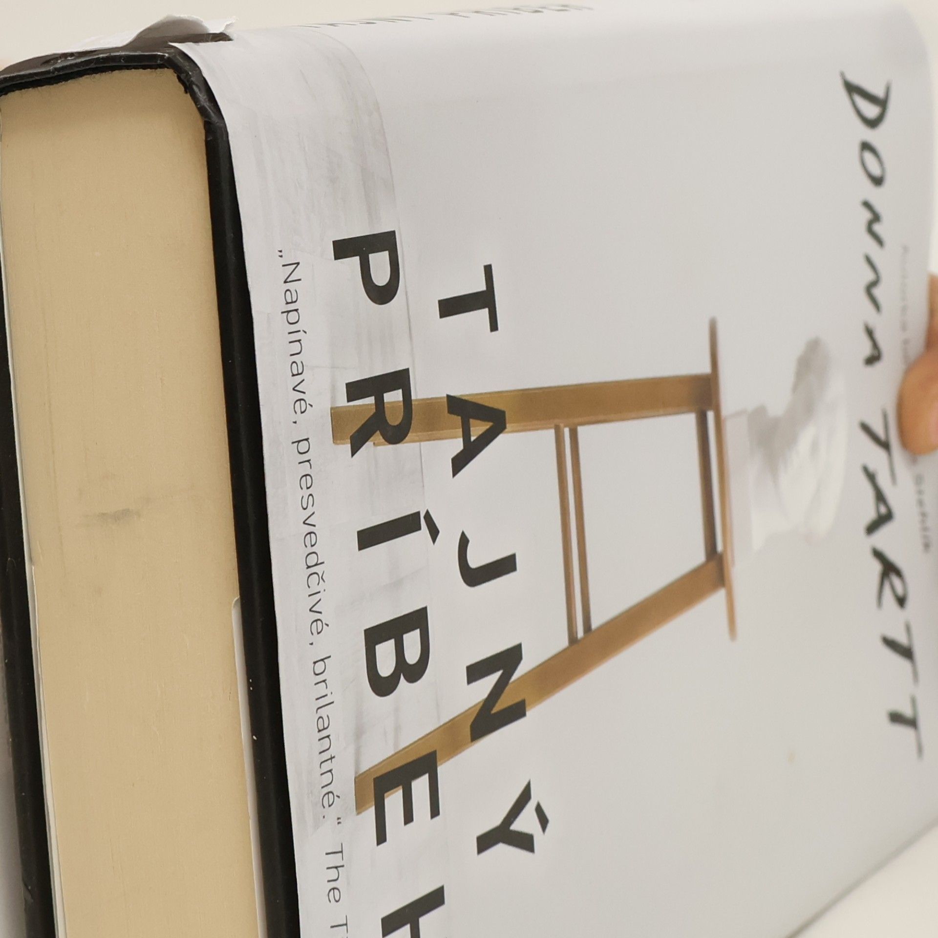 Donna Tartt Tajný príbeh