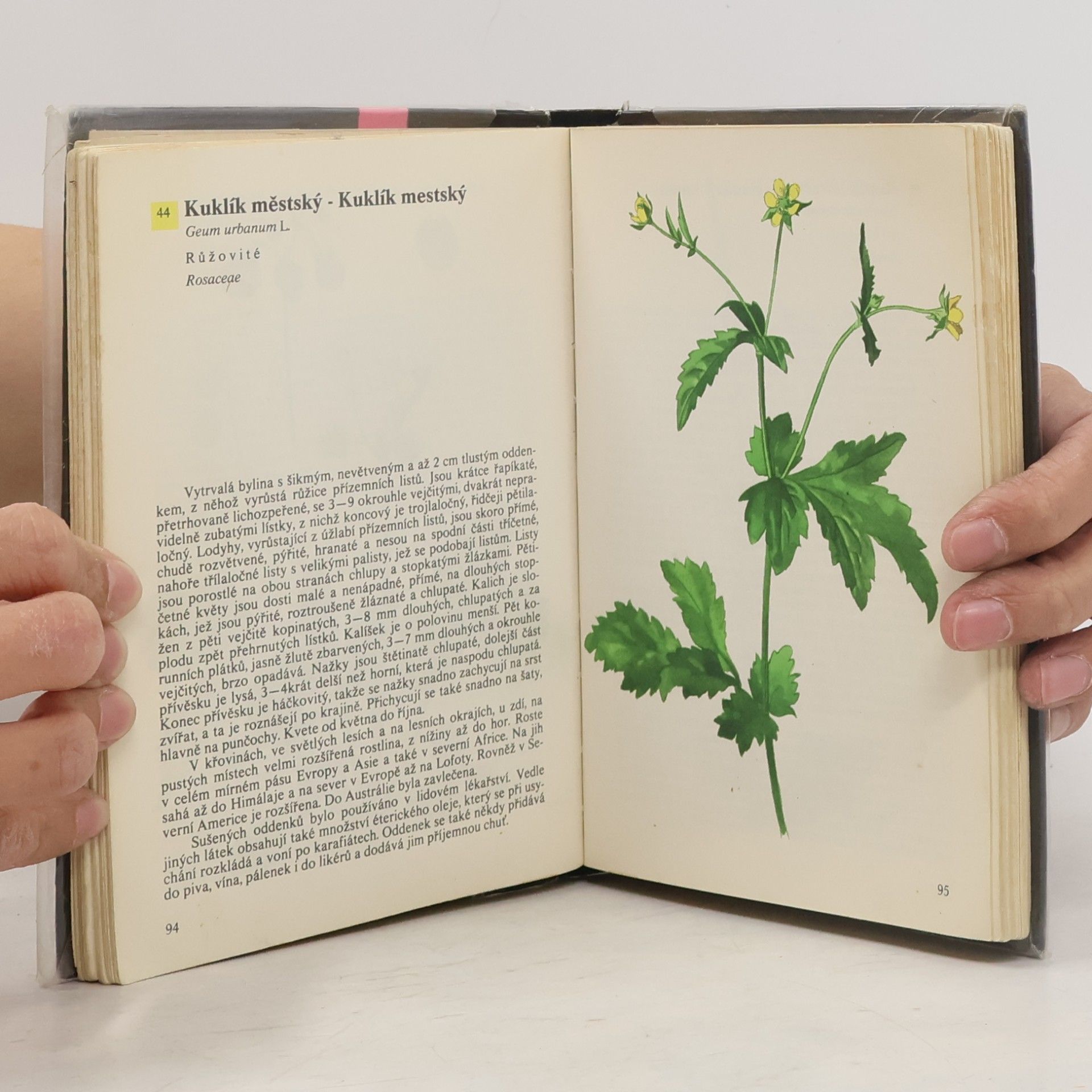 Otto Ušák Kapesní atlas rostlin