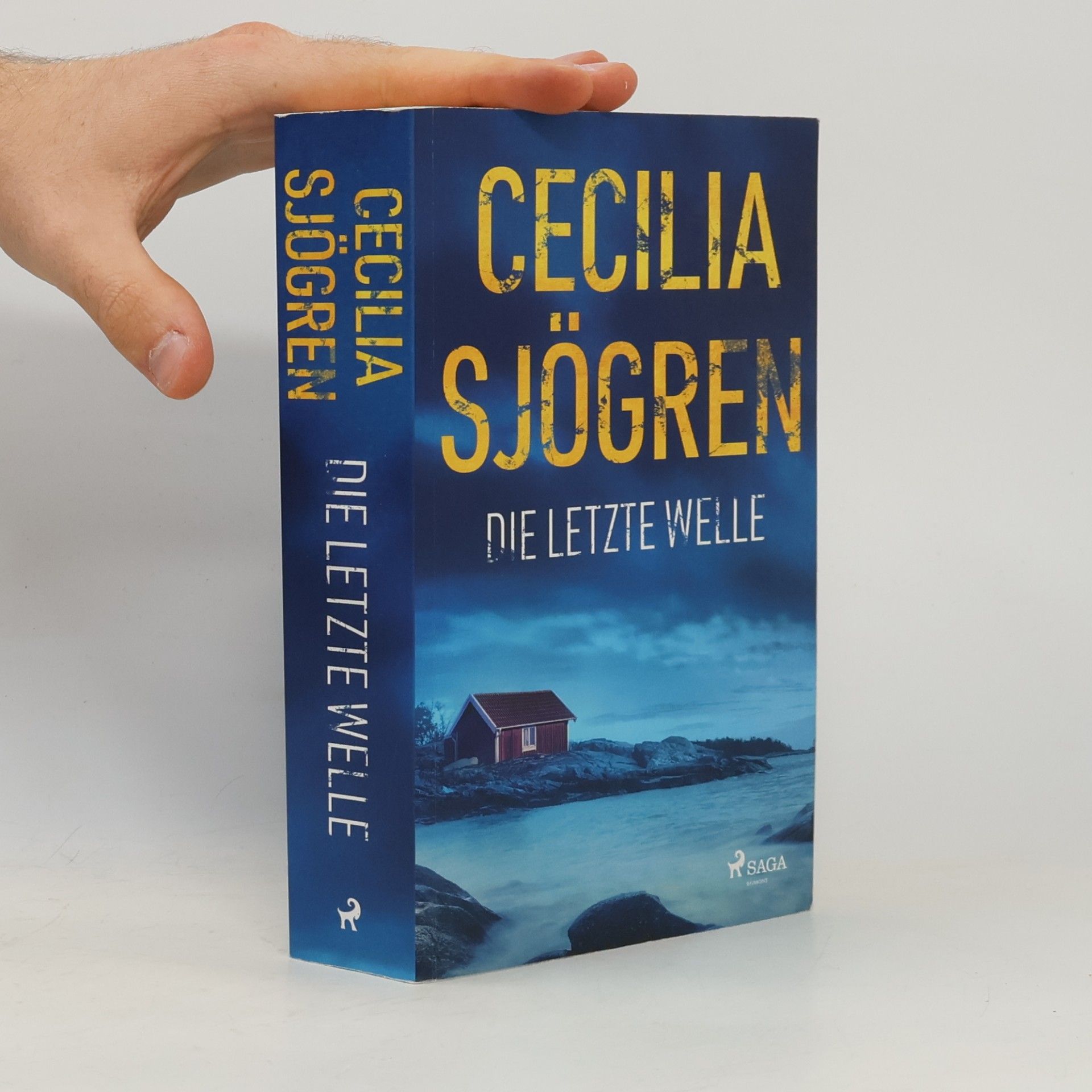 Cecilia Sjögren Die letze Welle