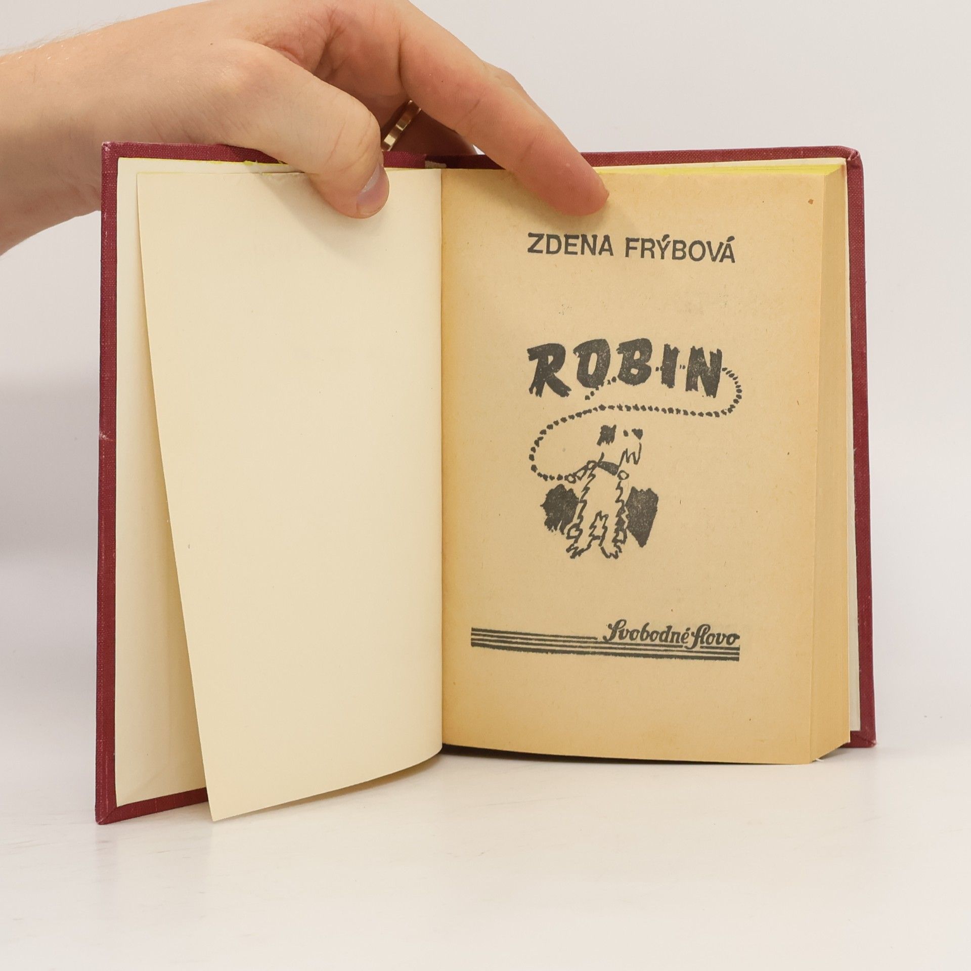 Zdena Frýbová Robin
