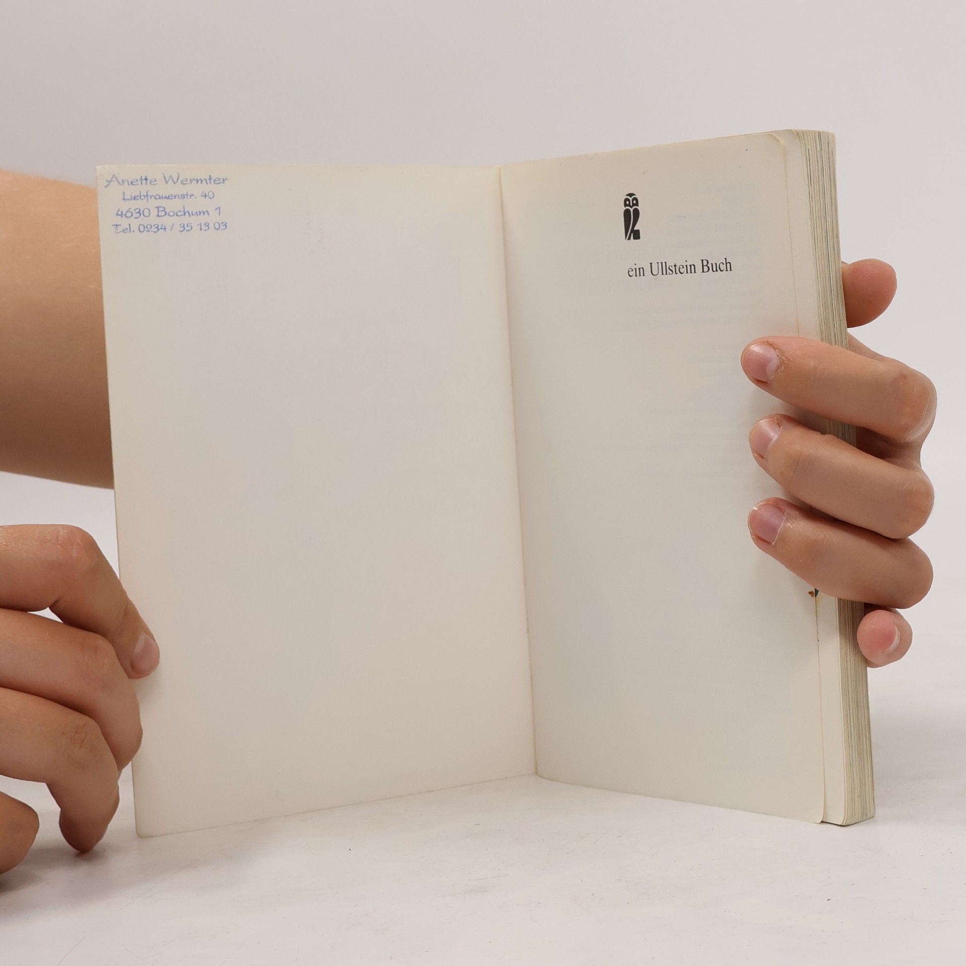 Rien Poortvliet Das grosse Buch der Heinzelmännchen
