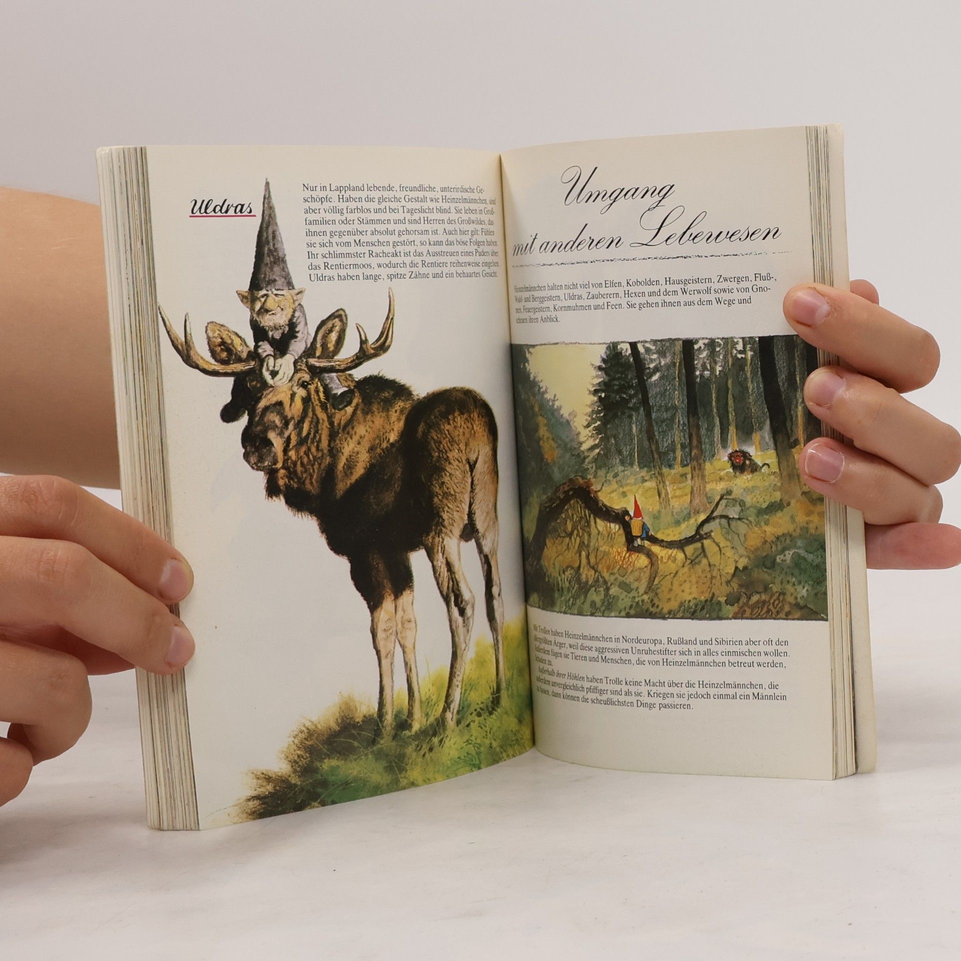 Rien Poortvliet Das grosse Buch der Heinzelmännchen