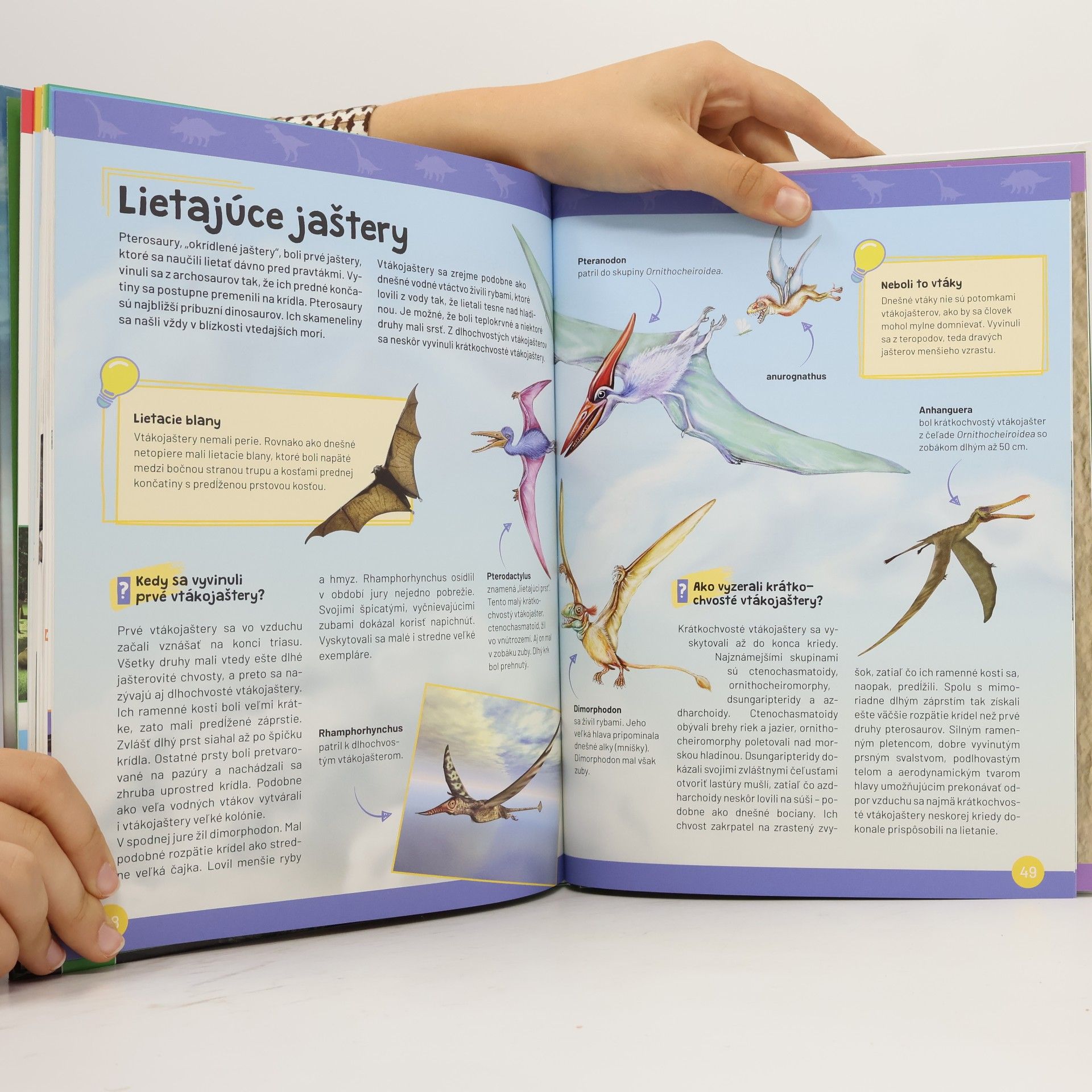 Autores varios Víme to! - Dinosauři