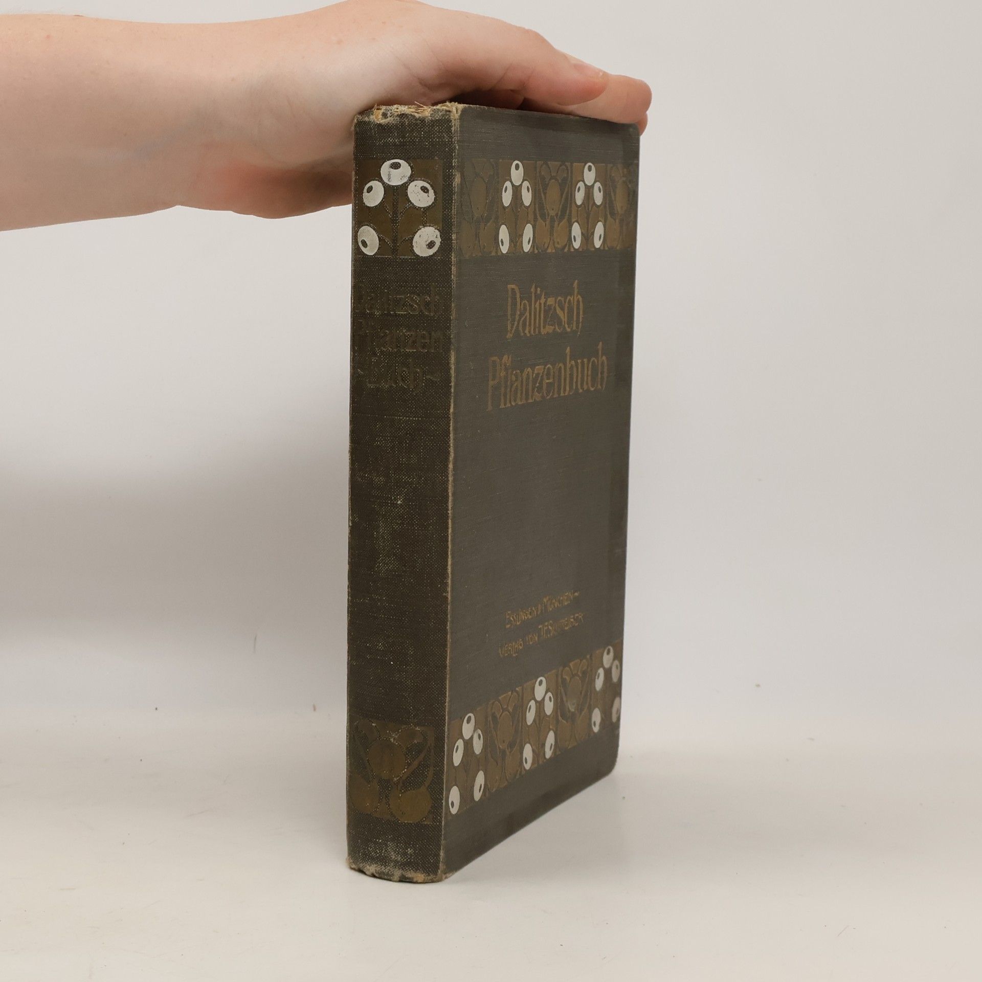 Max Dalitzsch Pflanzenbuch
