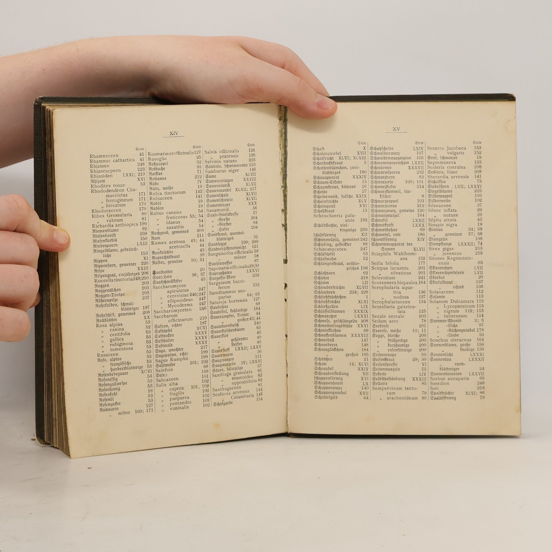 Max Dalitzsch Pflanzenbuch