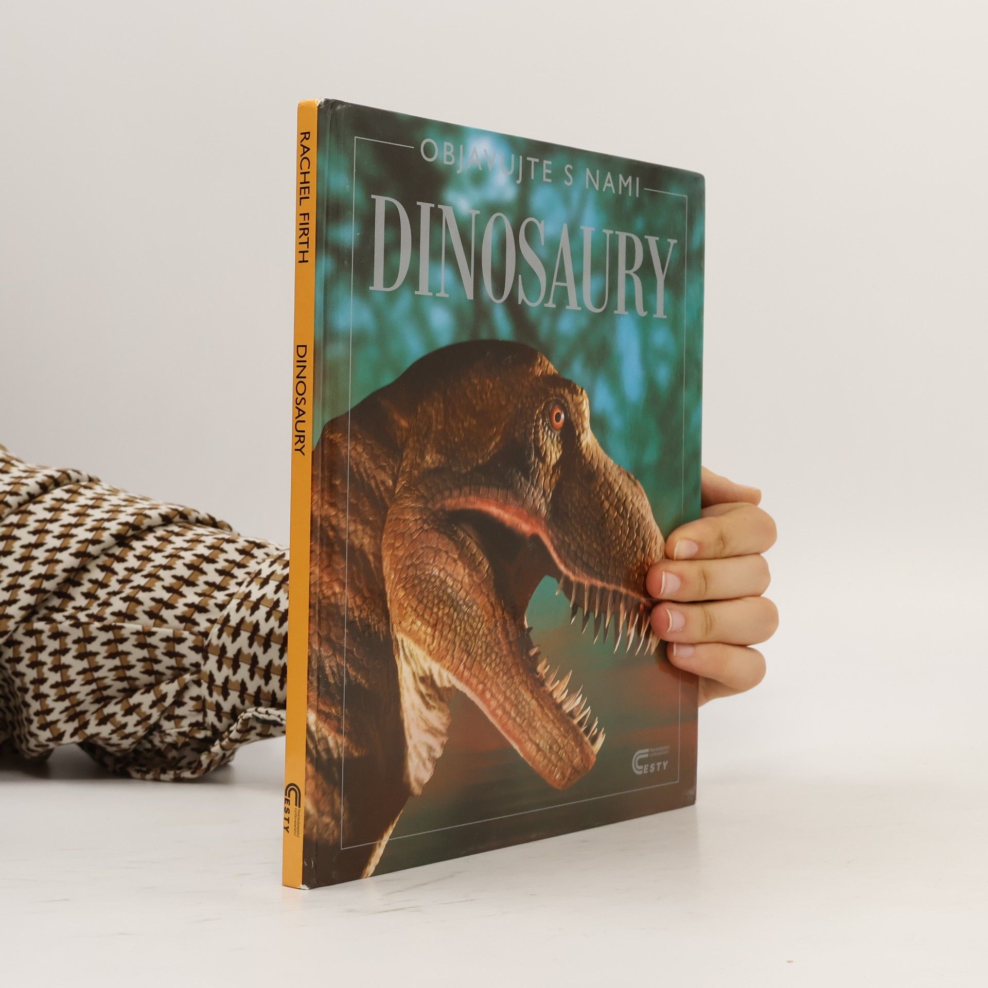 Rachel Firth Dinosaury