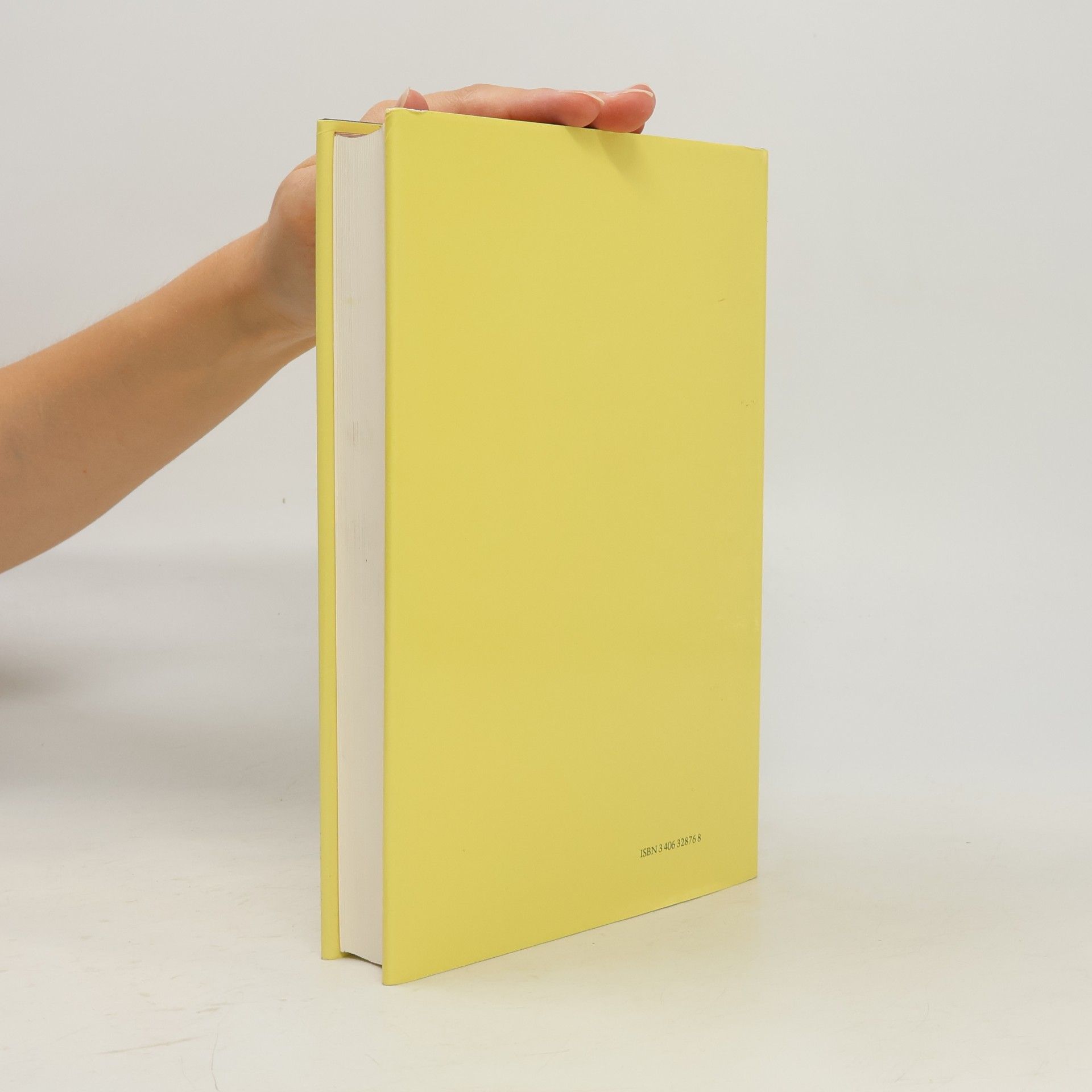 Hans-Peter Kuhnen Handbuch der Archäologie - Vorderasien II/2: Palästina in griechisch-römischer Zeit