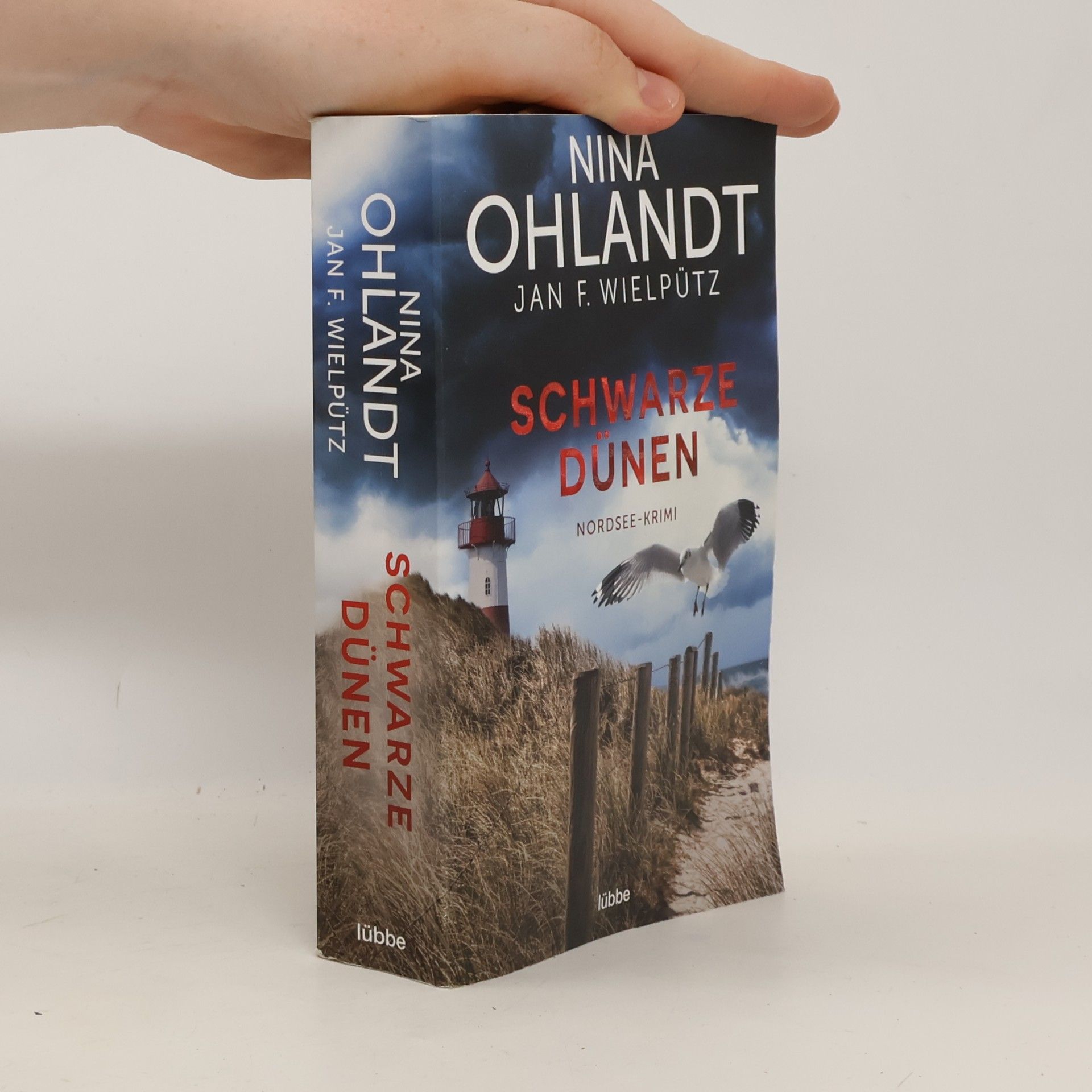 Nina Ohlandt Schwarze Dünen