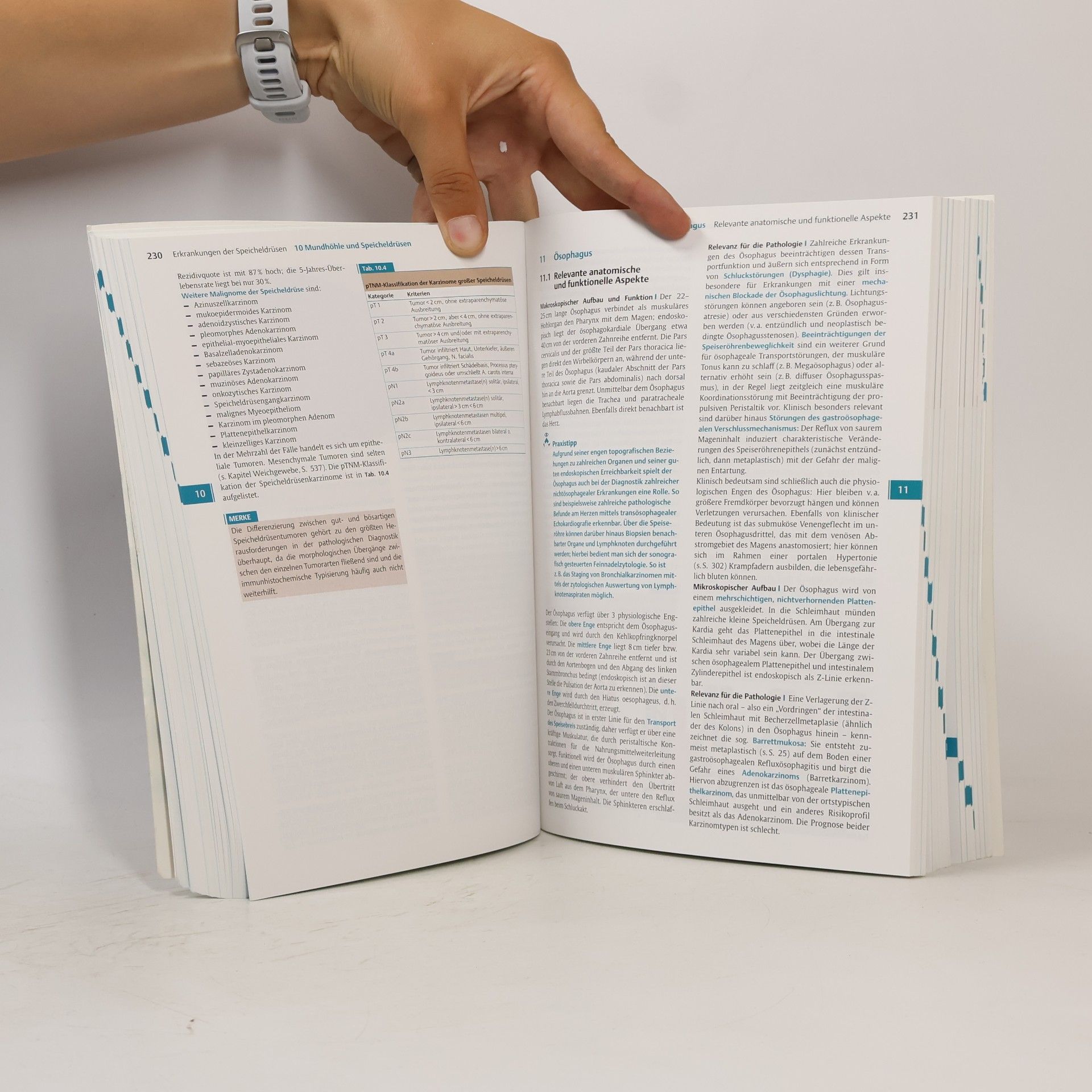 Matthias Krams Kurzlehrbuch Pathologie