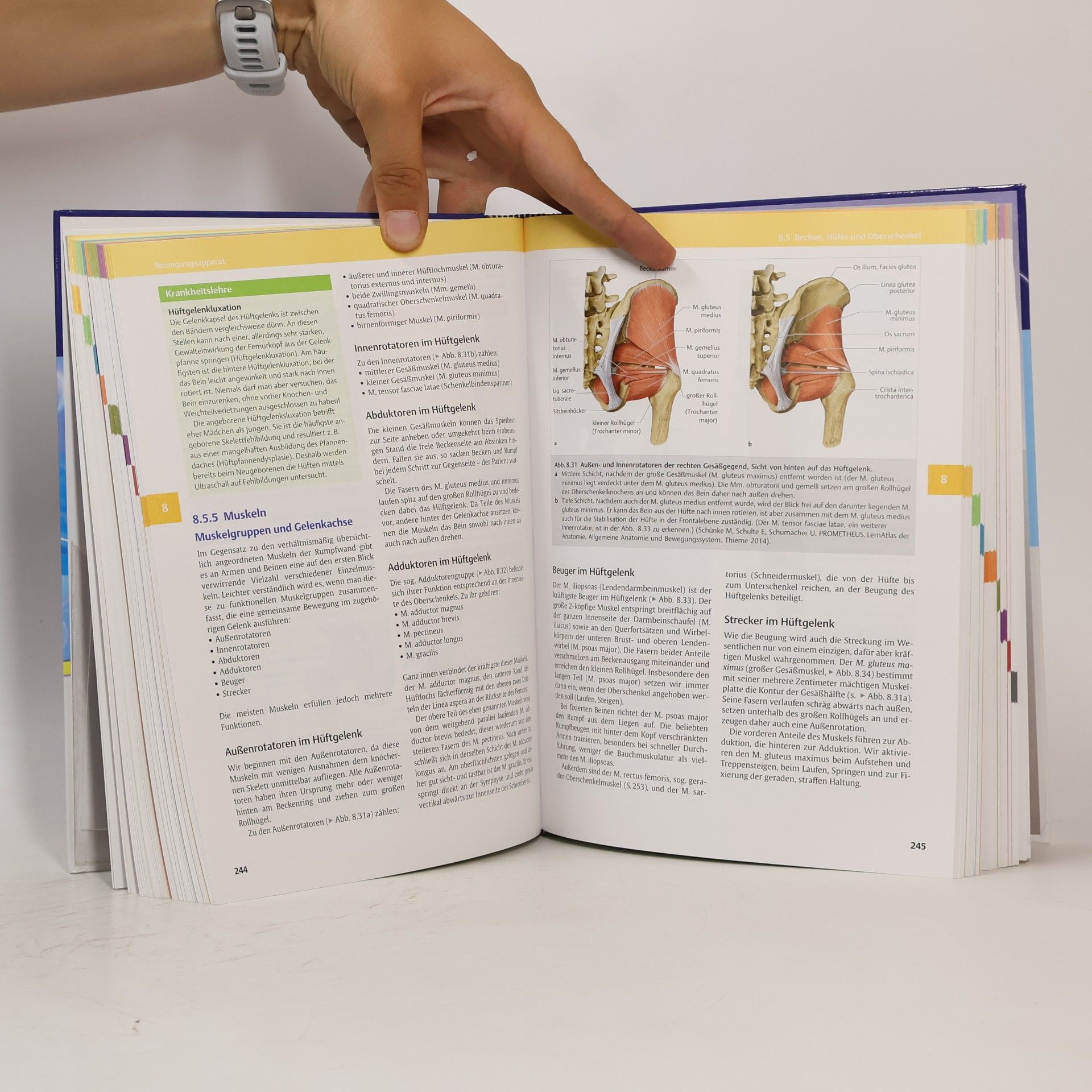 Johann S. Schwegler Der Mensch - Anatomie und Physiologie