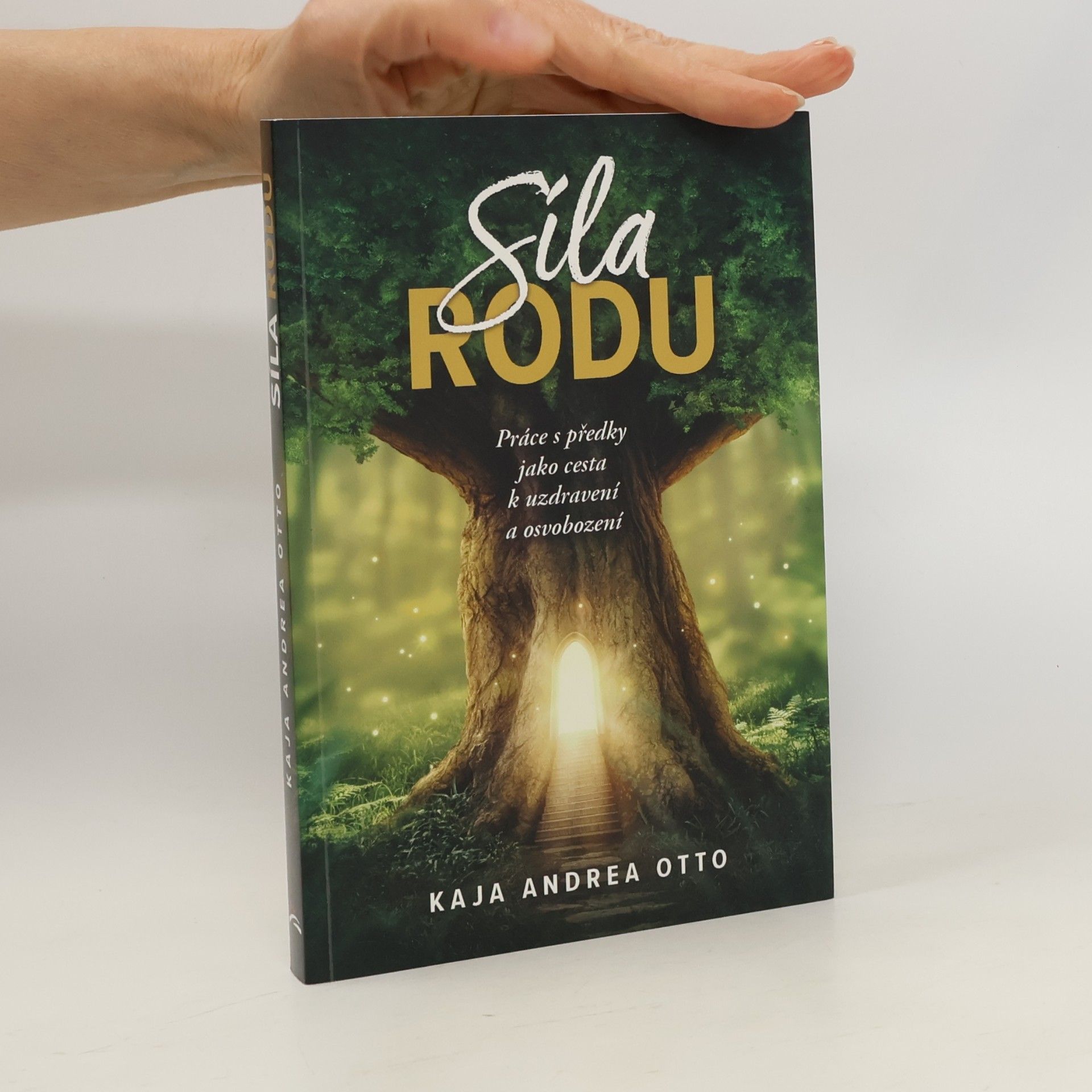 Síla rodu : práce s předky jako cesta k uzdravení a osvobození