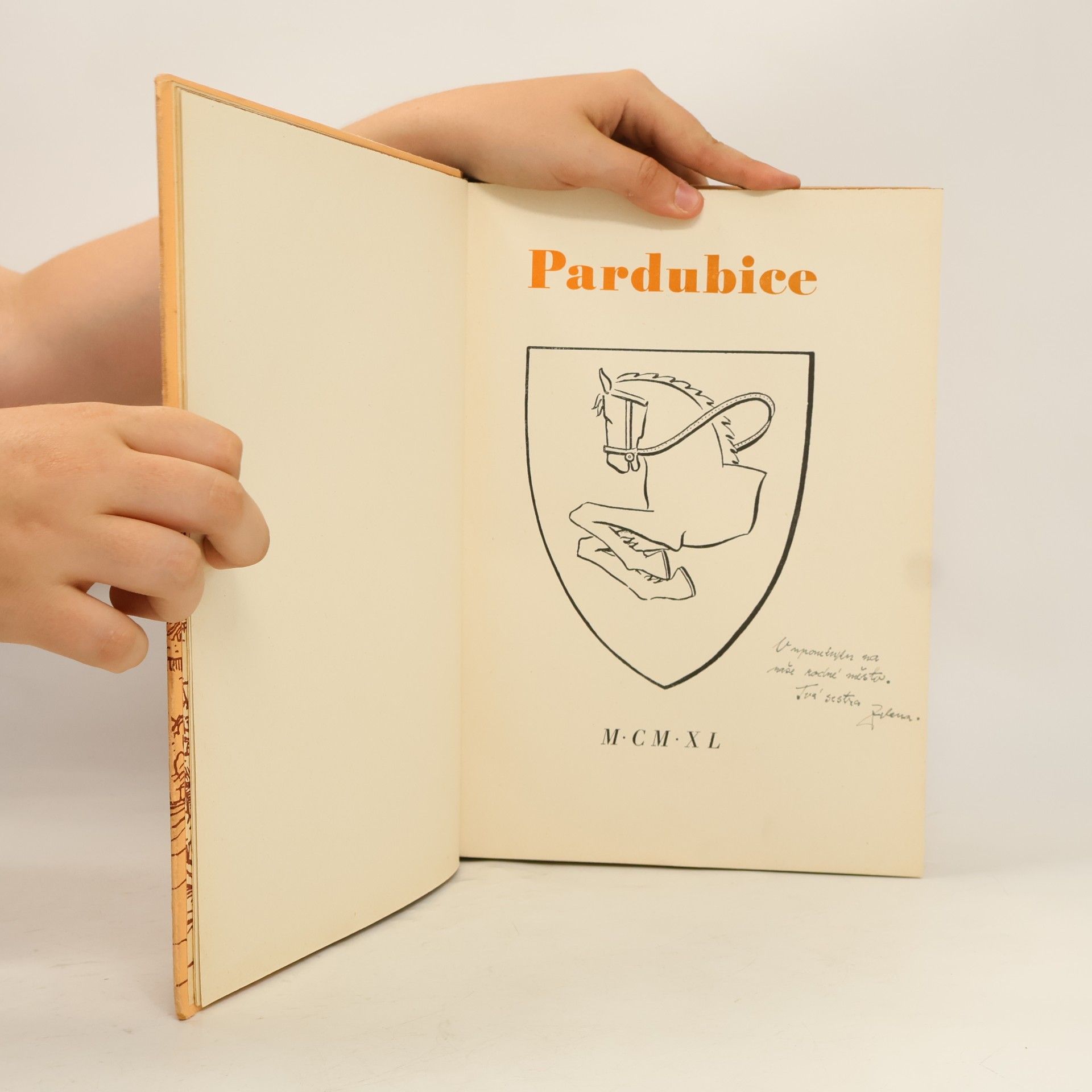 Zdeněk Vavřík Pardubice