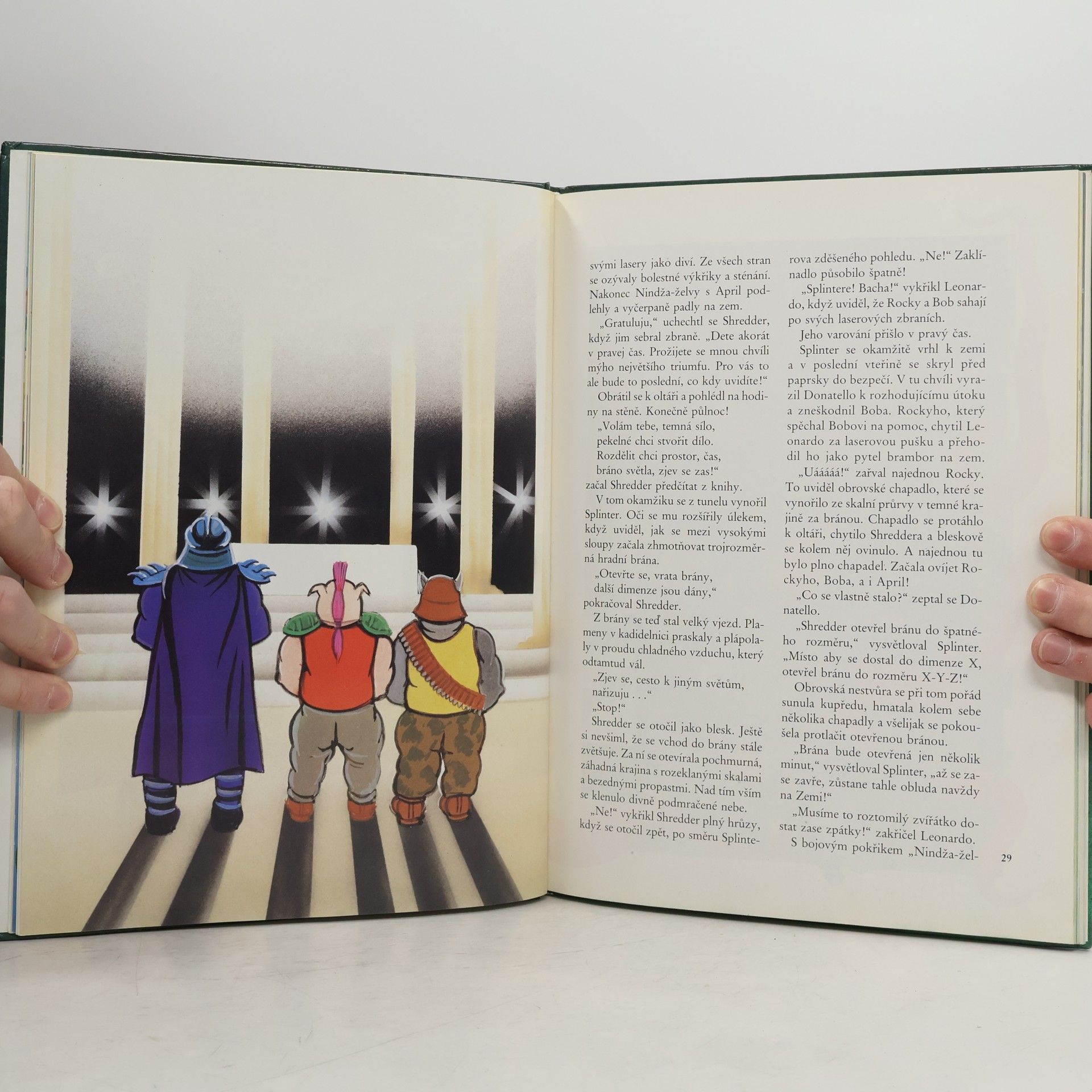 Maureen Spurgeon Teenage Mutant Ninja Turtles. Hrdinové z podzemí