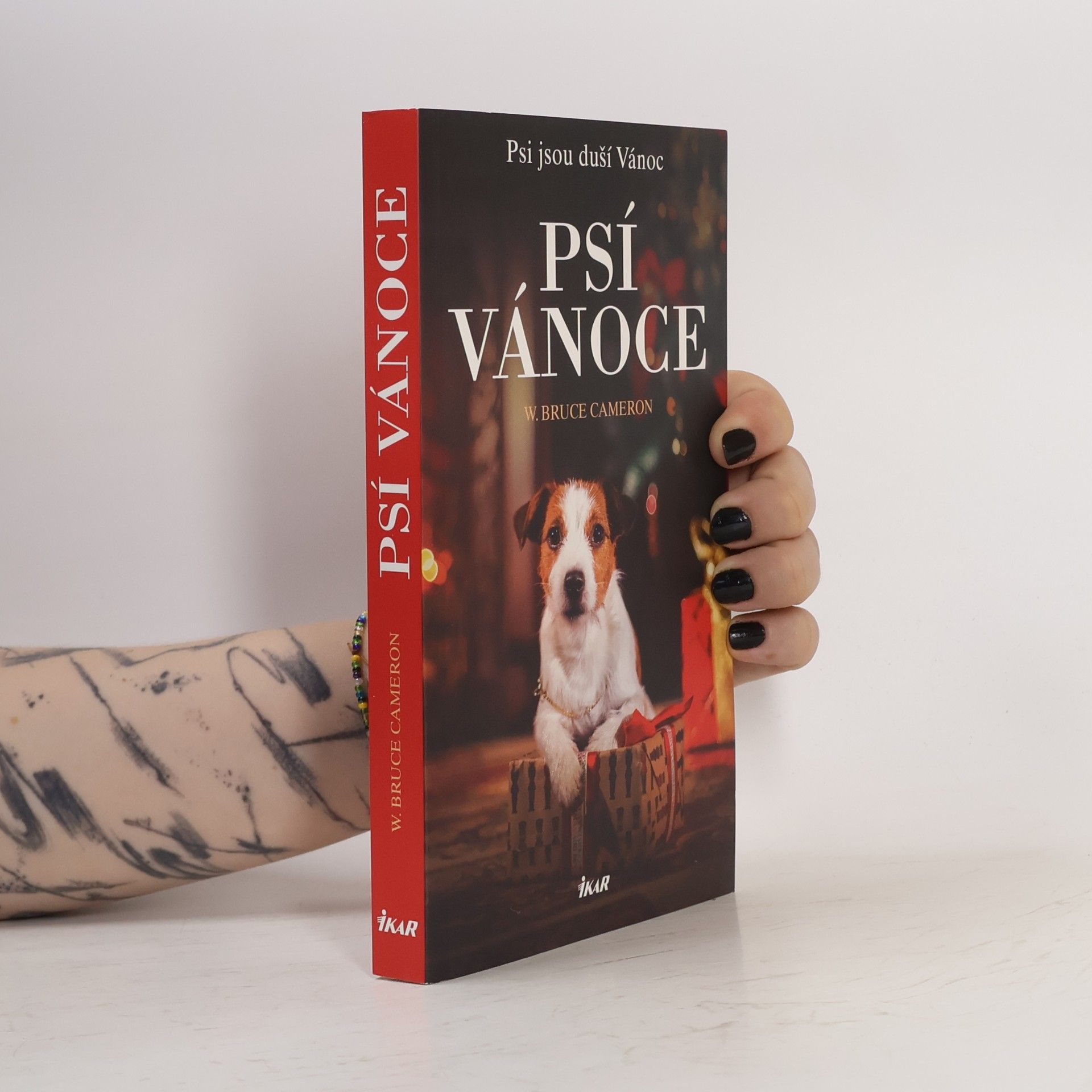W. Bruce Cameron Psí Vánoce