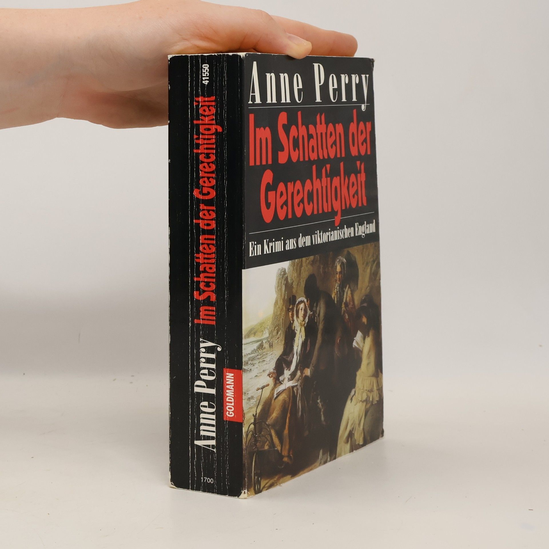 Anne Perry Im Schatten der Gerechtigkeit