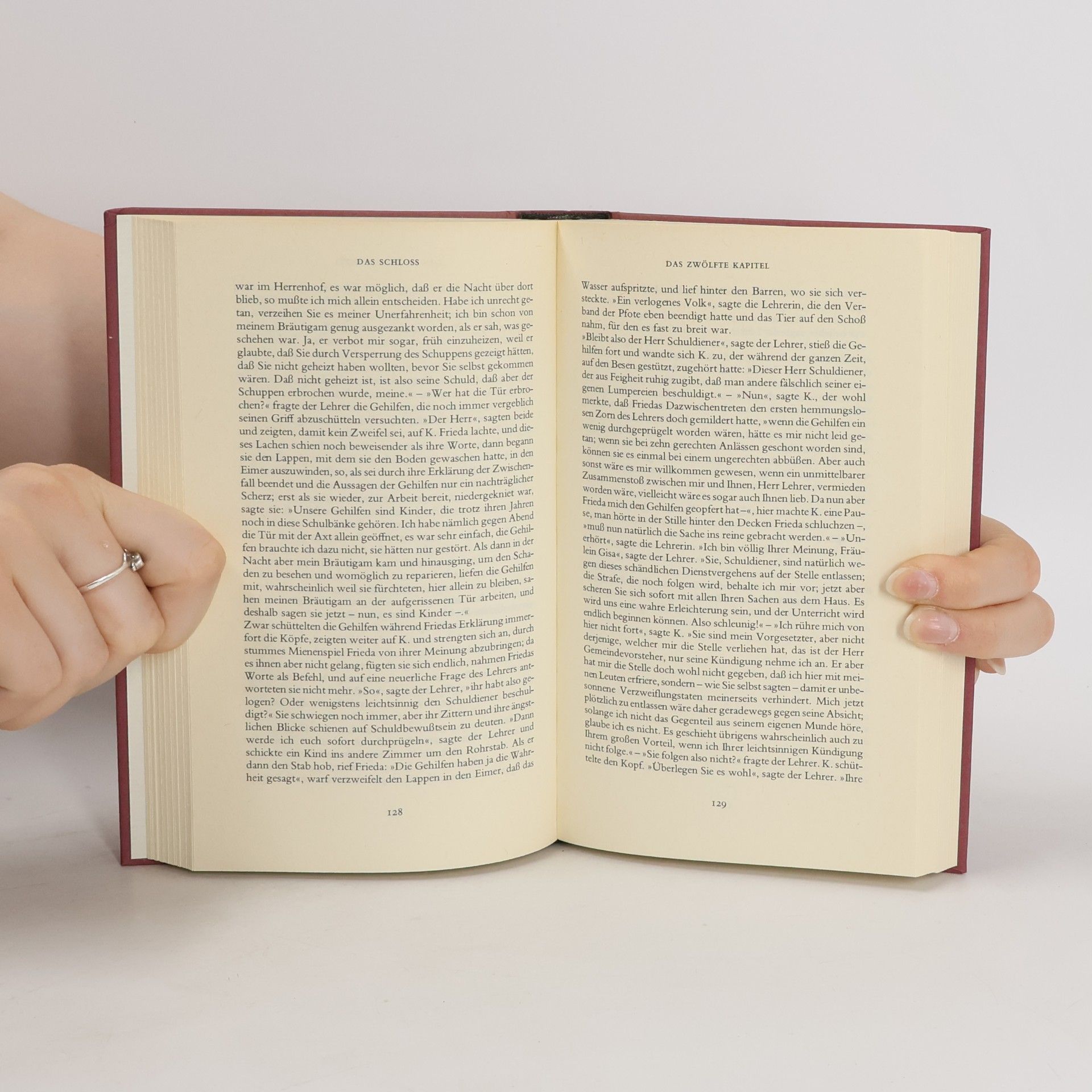 Franz Kafka Das Schloss. Erzählungen. Hochzeitsvorbereitungen. Amerika. Beschreibung. Der Prozess