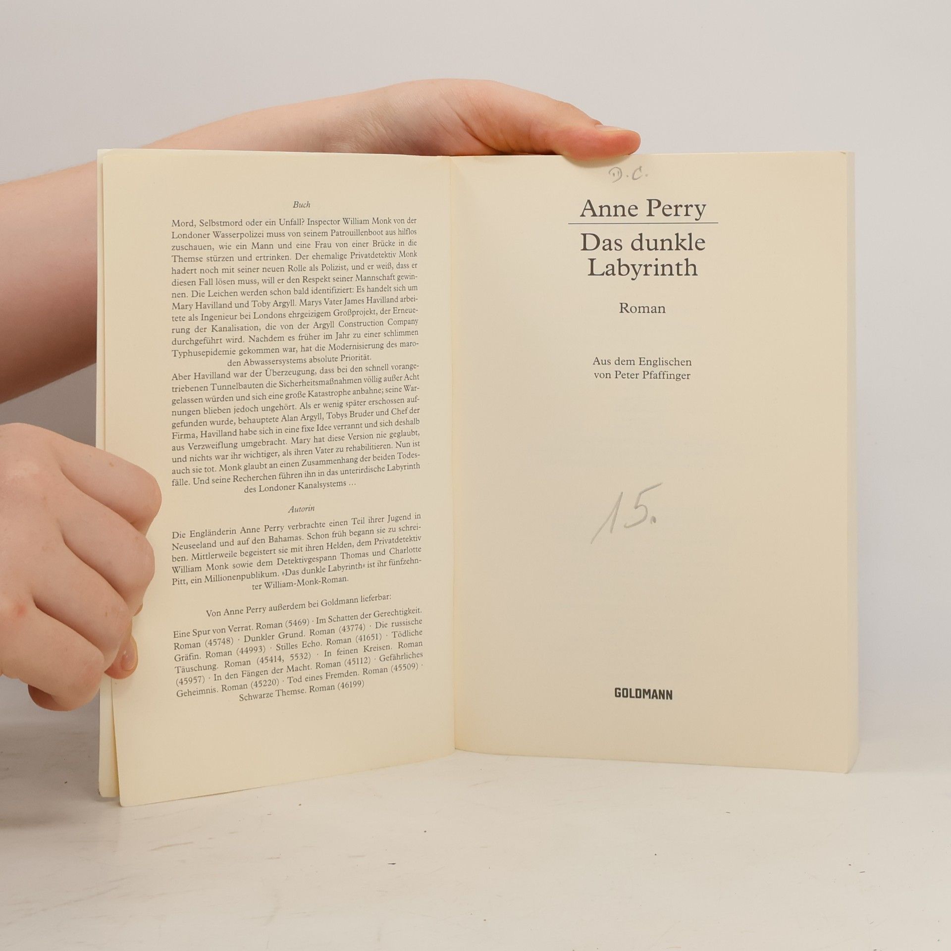 Anne Perry Das dunkle Labyrinth