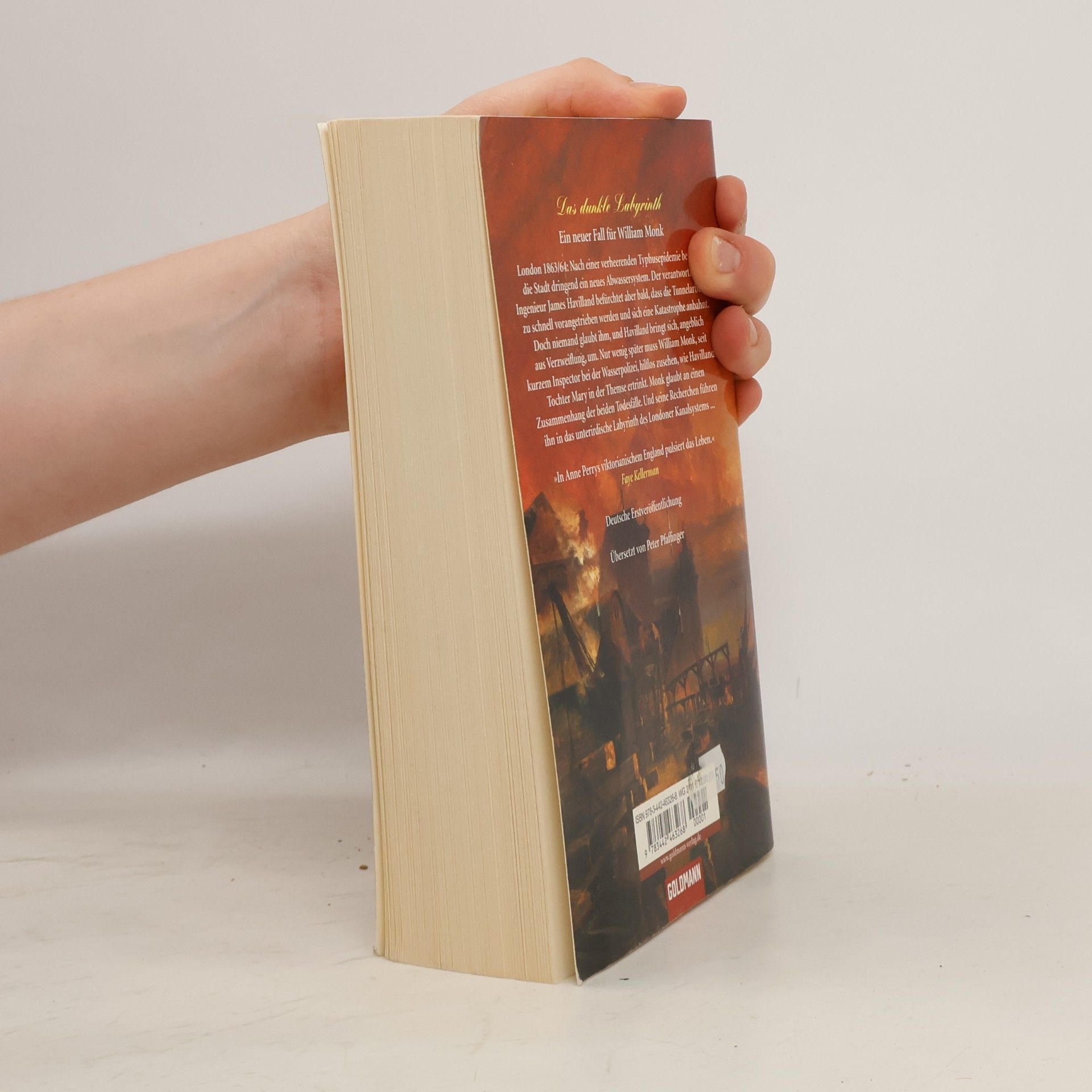 Anne Perry Das dunkle Labyrinth