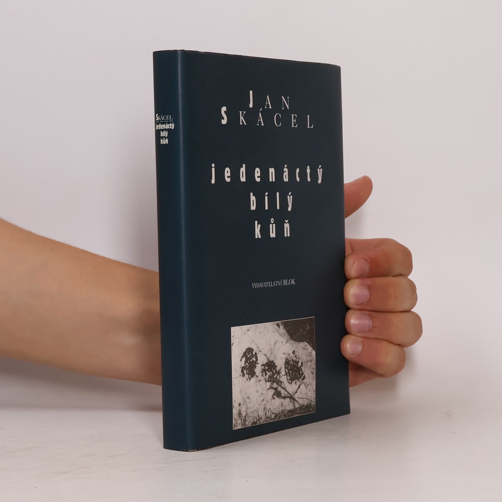 Jan Skácel Jedenáctý bílý kůň