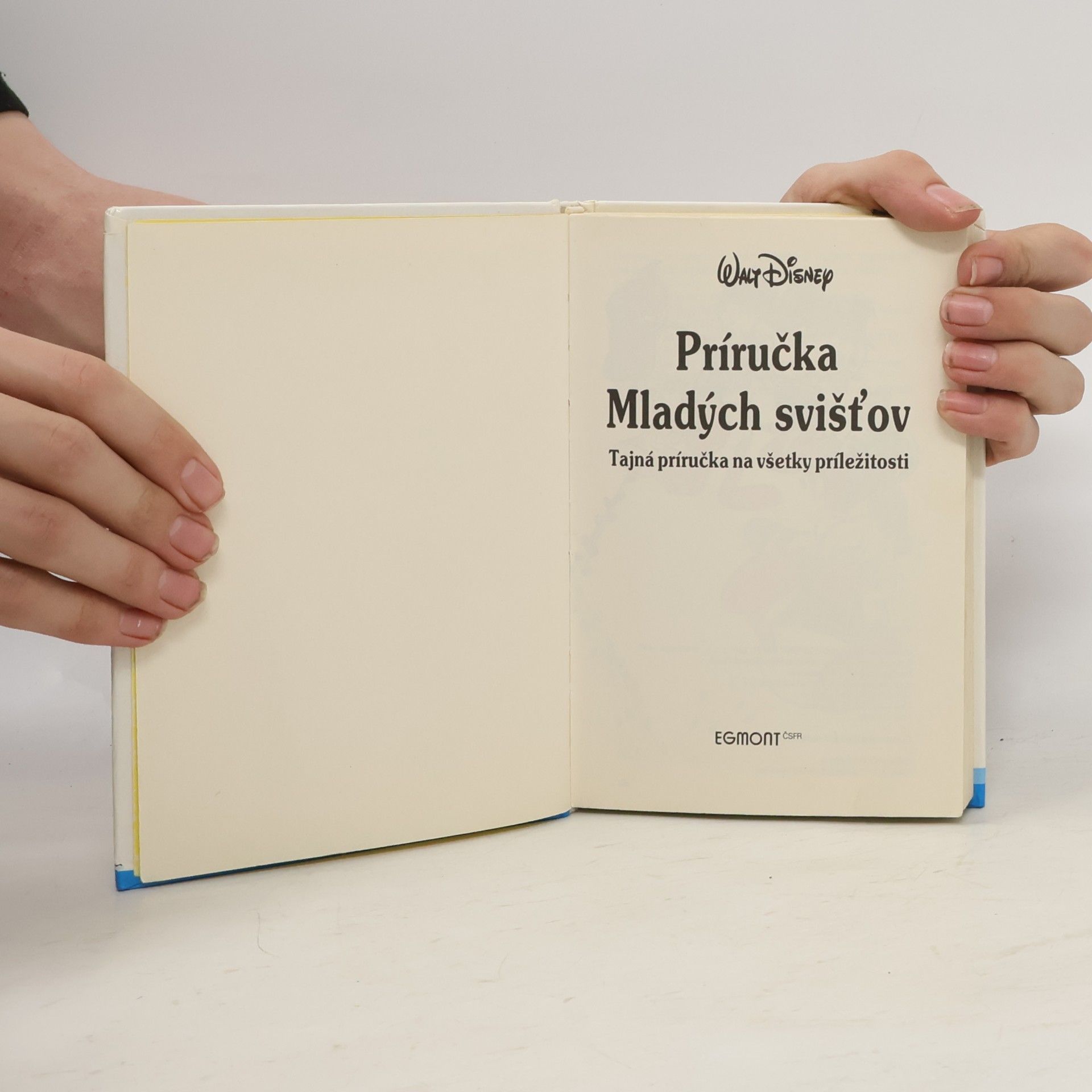 Walt Disney Príručka mladých svišťov. Tajná príručka na všetky príležitosti