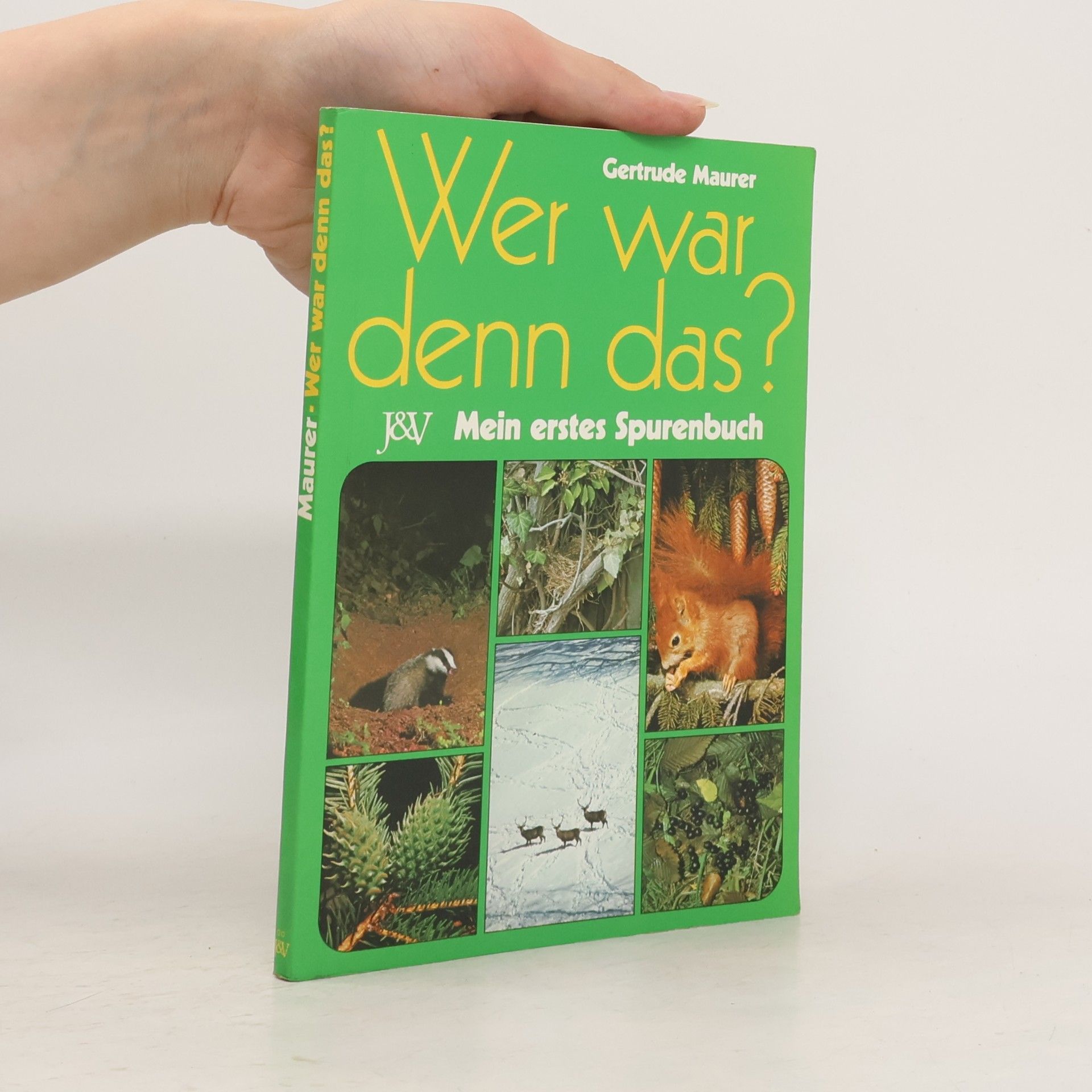 Gertrude Maurer Wer war denn das?
