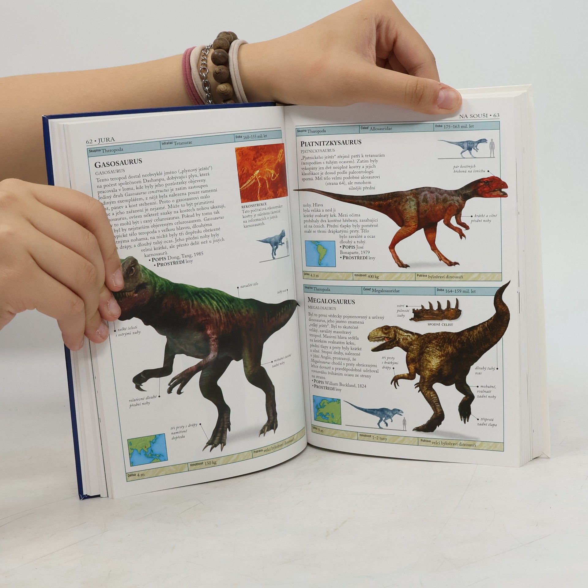 Hazel Richardson Dinosauři a život v pravěku