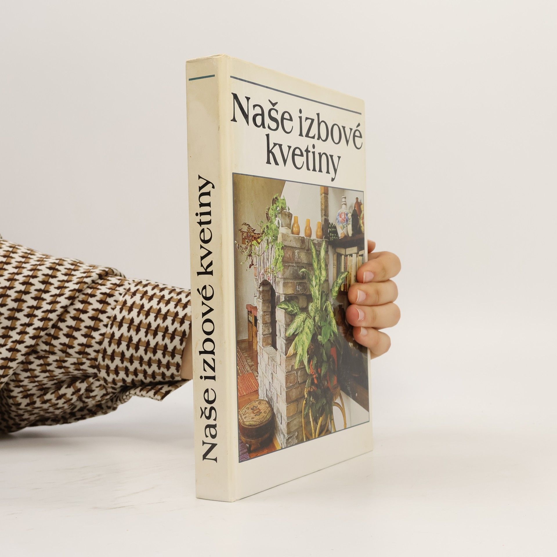 Lajos Lelkes Naše izbové kvetiny