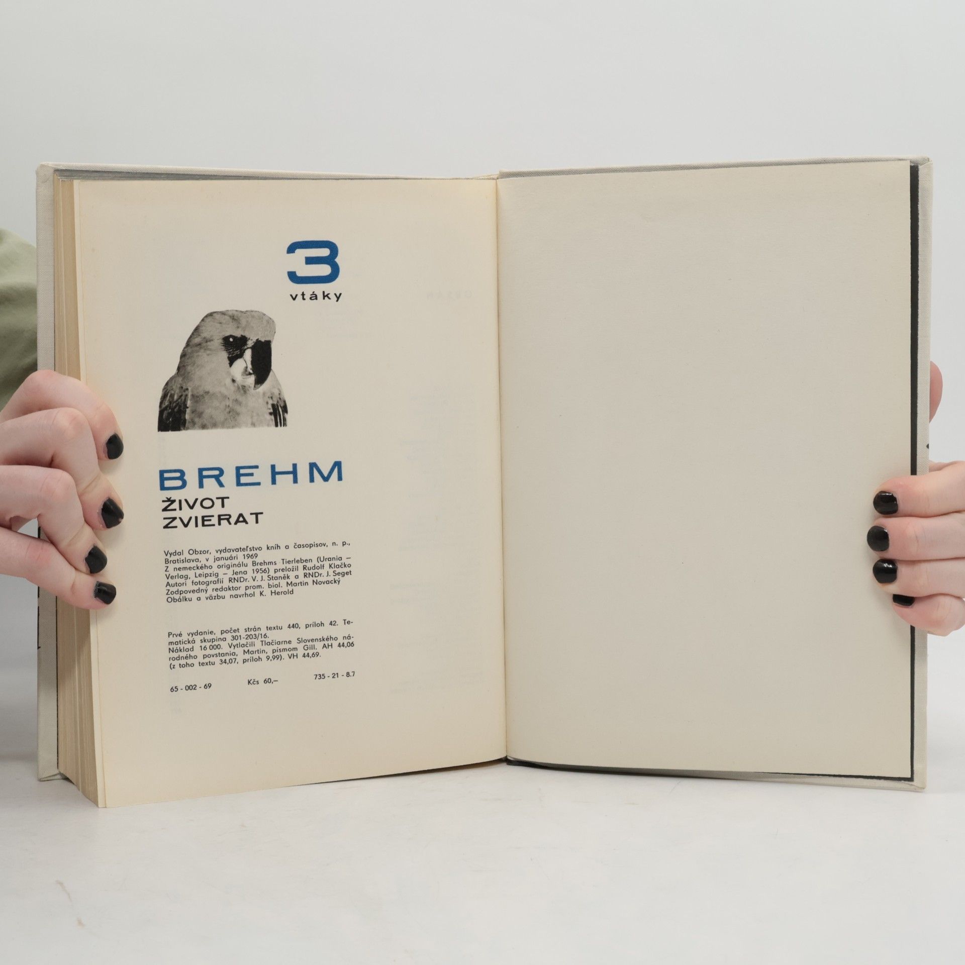 Autorenkollektiv Život zvierat 3: Vtáky