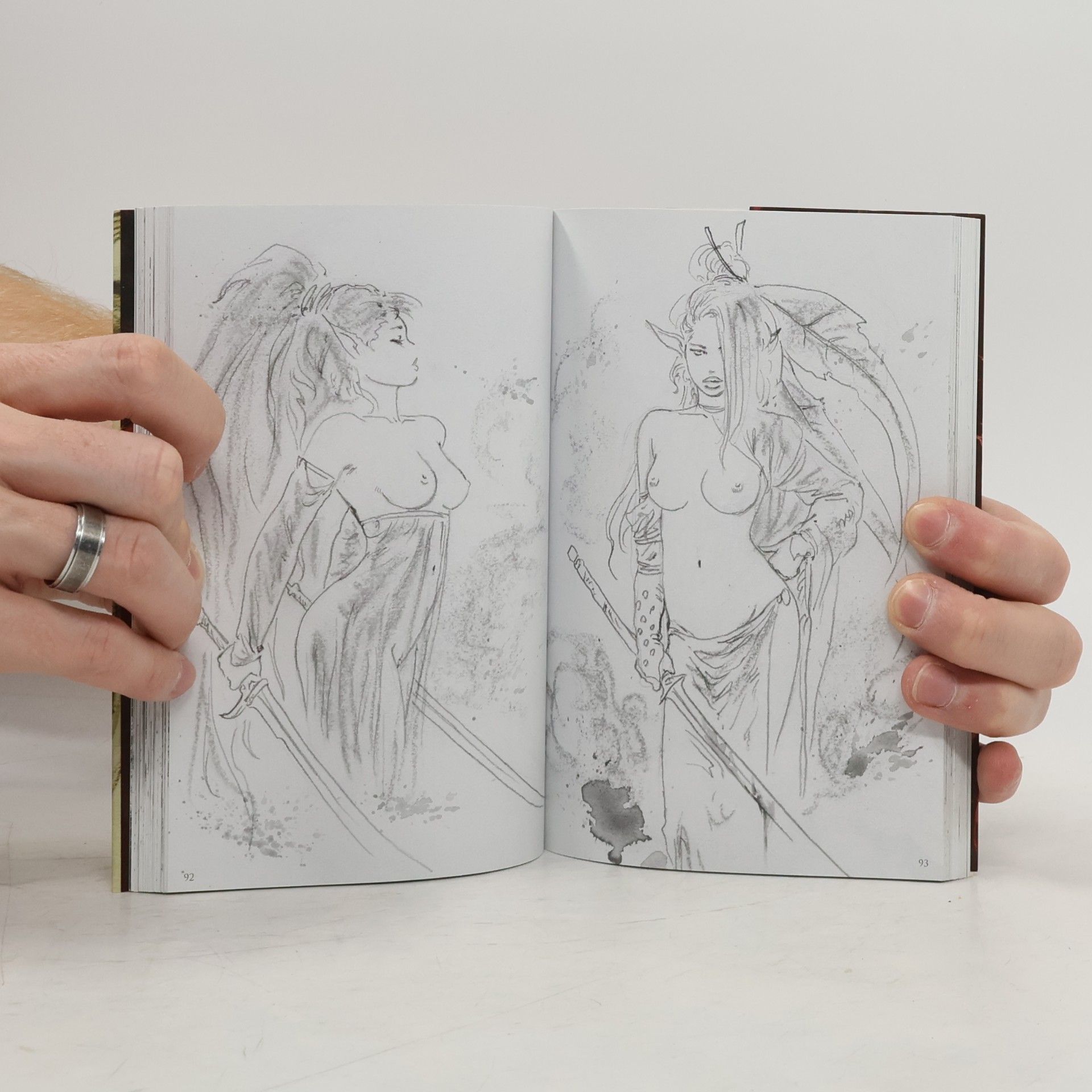 Luis Royo Wild Sketchers 1