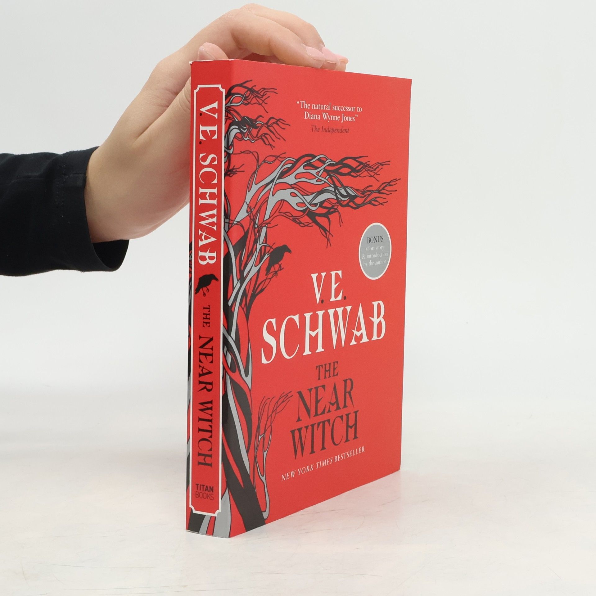 V. E. Schwab The Near Witch