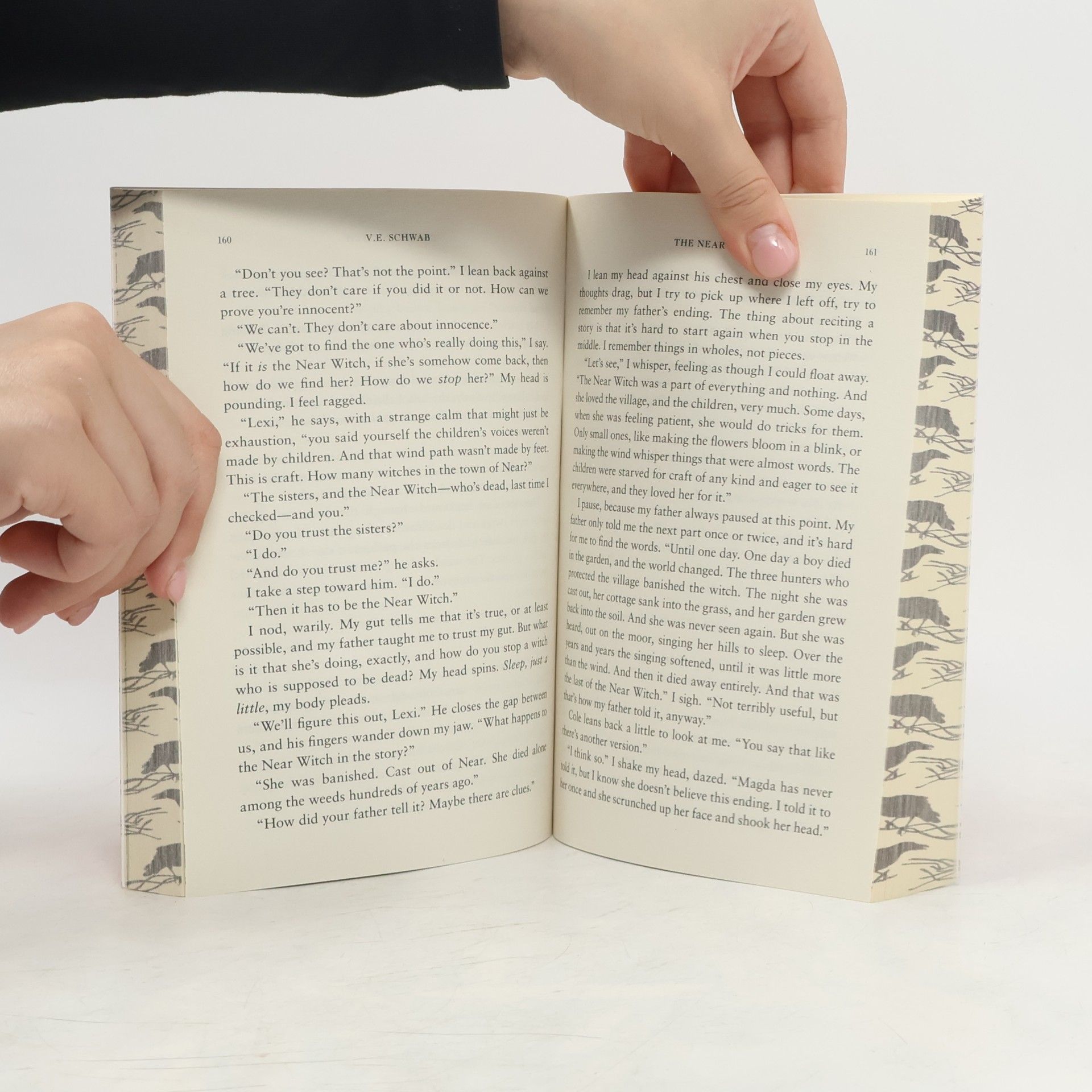 V. E. Schwab The Near Witch