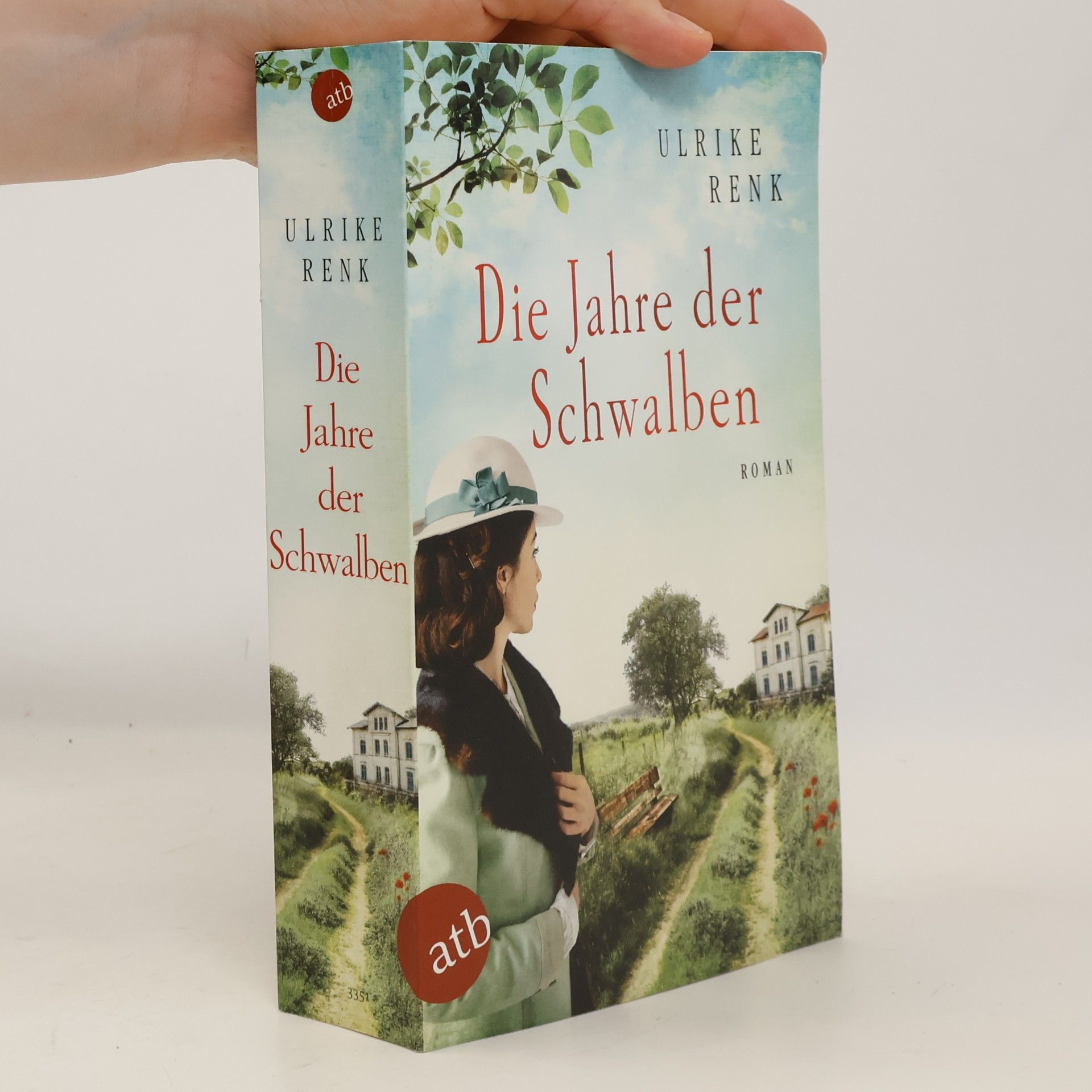 Ulrike Renk Die Jahre der Schwalben