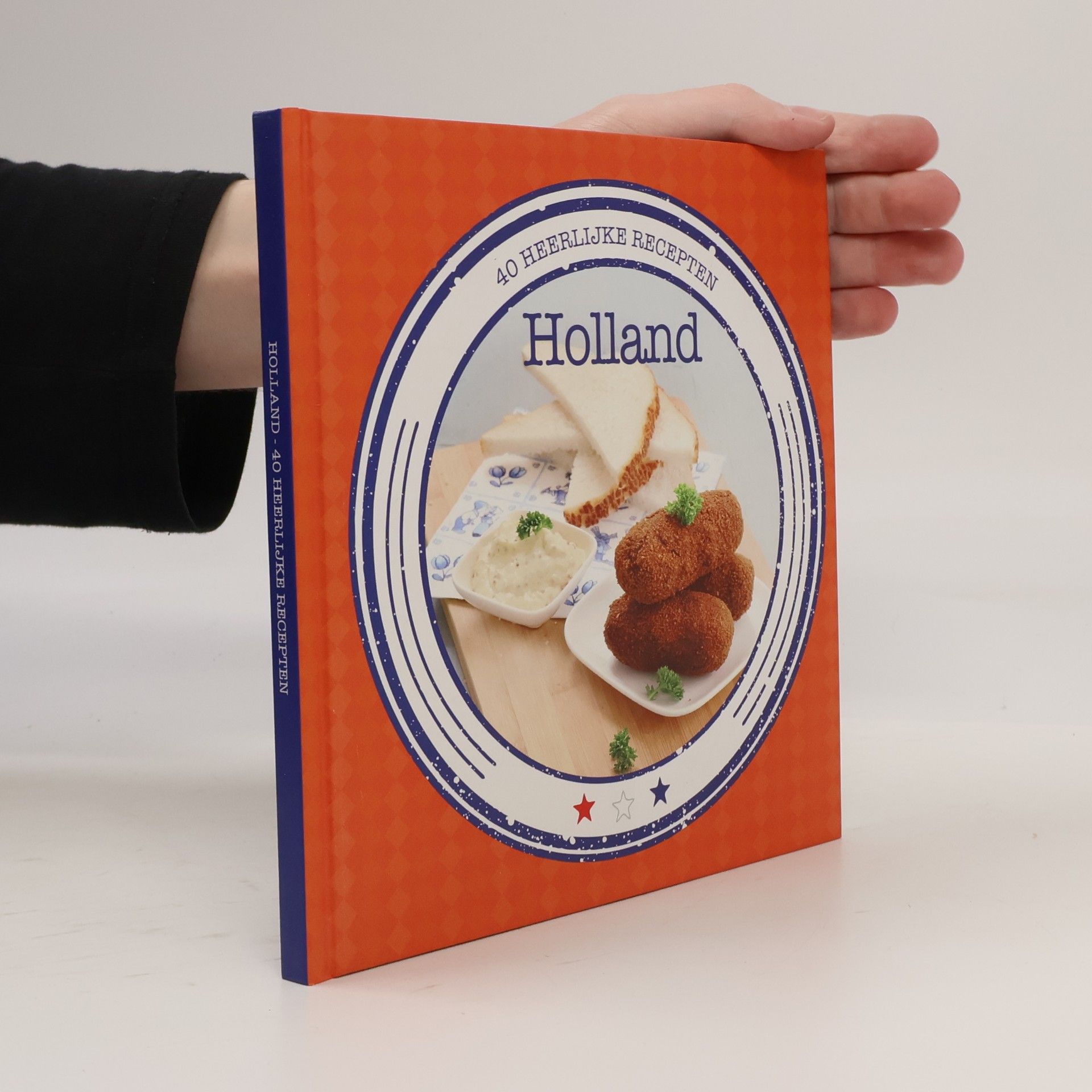 Kolektiv autorů Holland