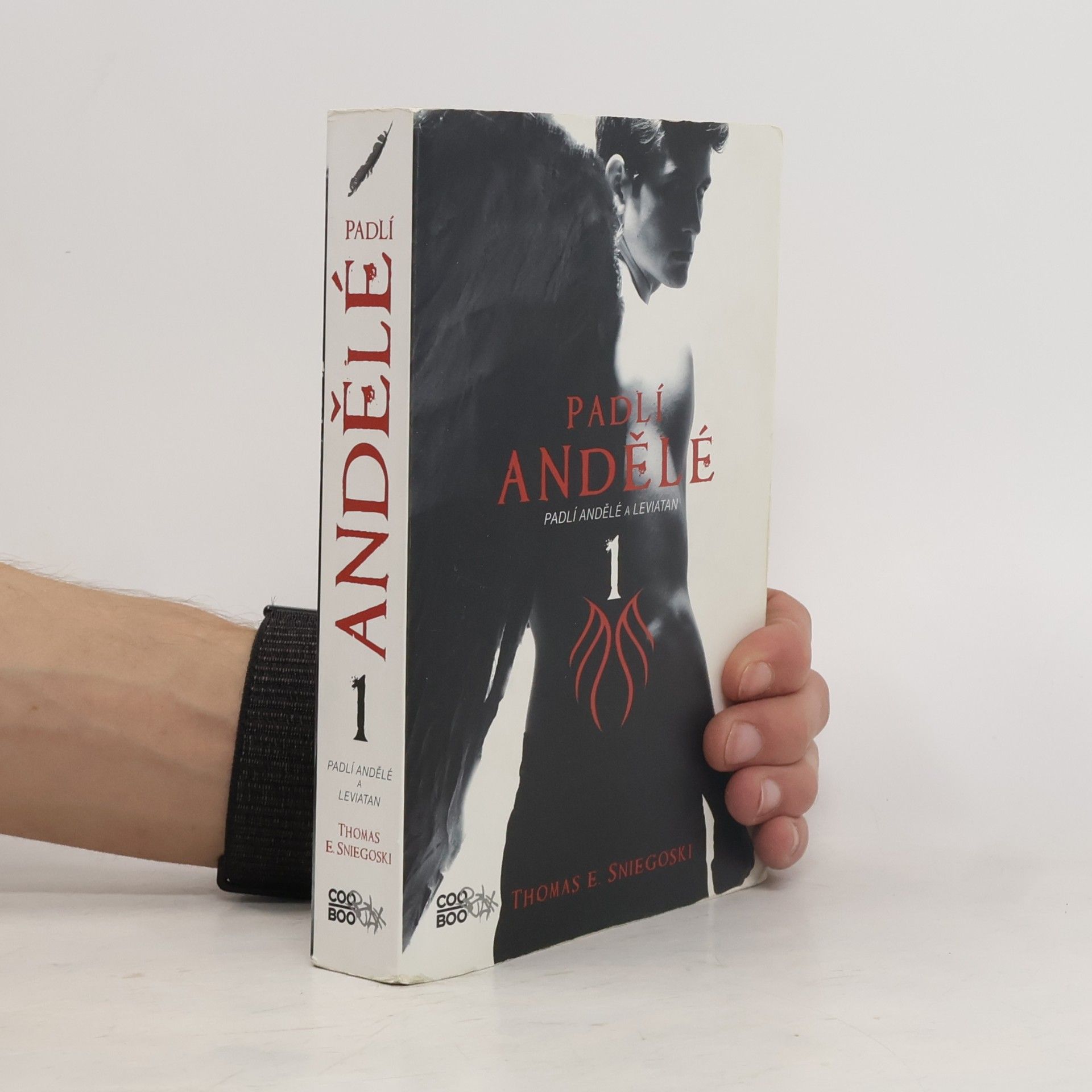 Thomas E. Sniegoski Padlí andělé a Leviatan. Padlí andělé. 1. díl