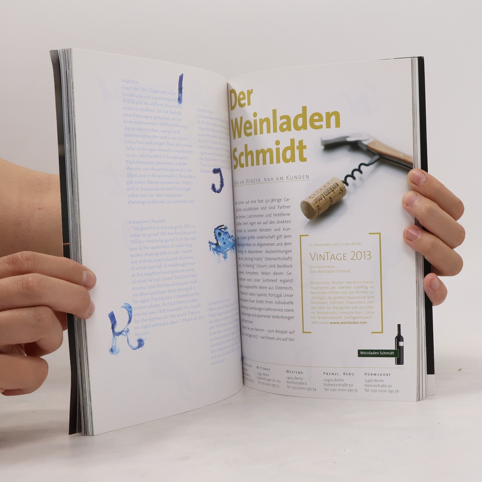 kolektiv Der Koch und die See No.8