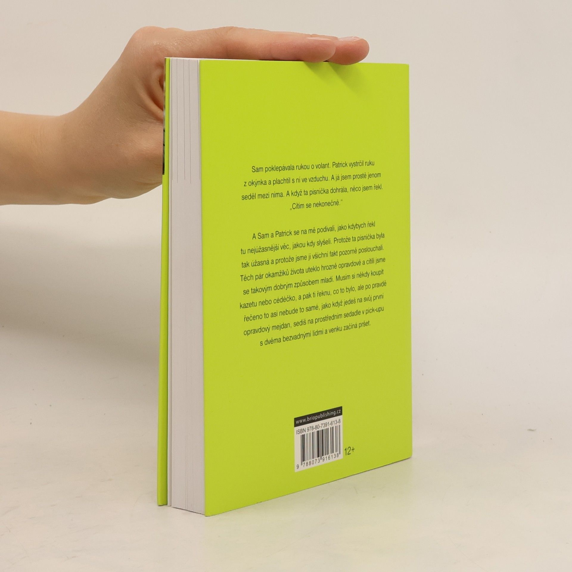 Stephen Chbosky Ten, kdo stojí v koutě