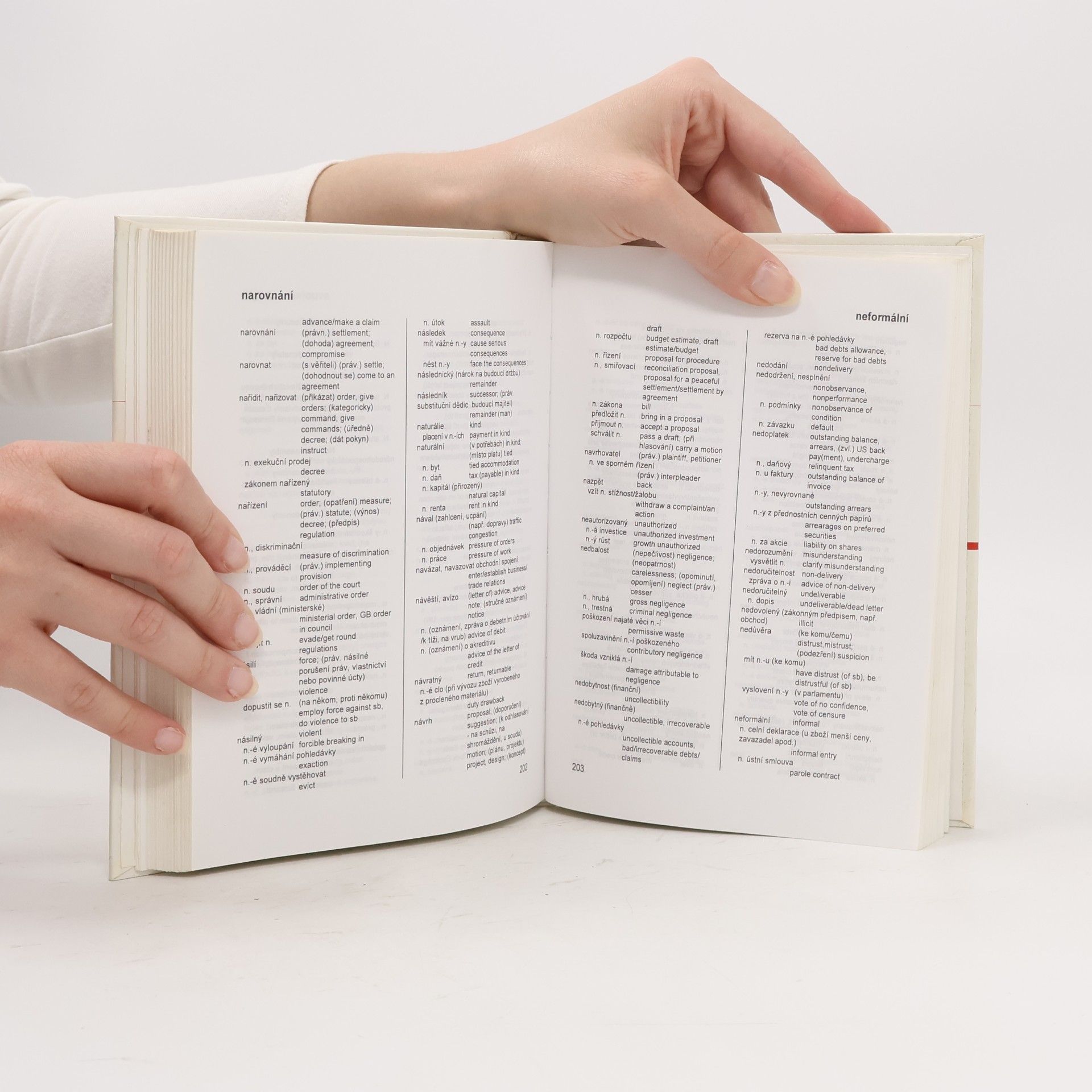 Autorenkollektiv Odborný slovník anglicko-český z oblasti ekonomické, finanční a právní