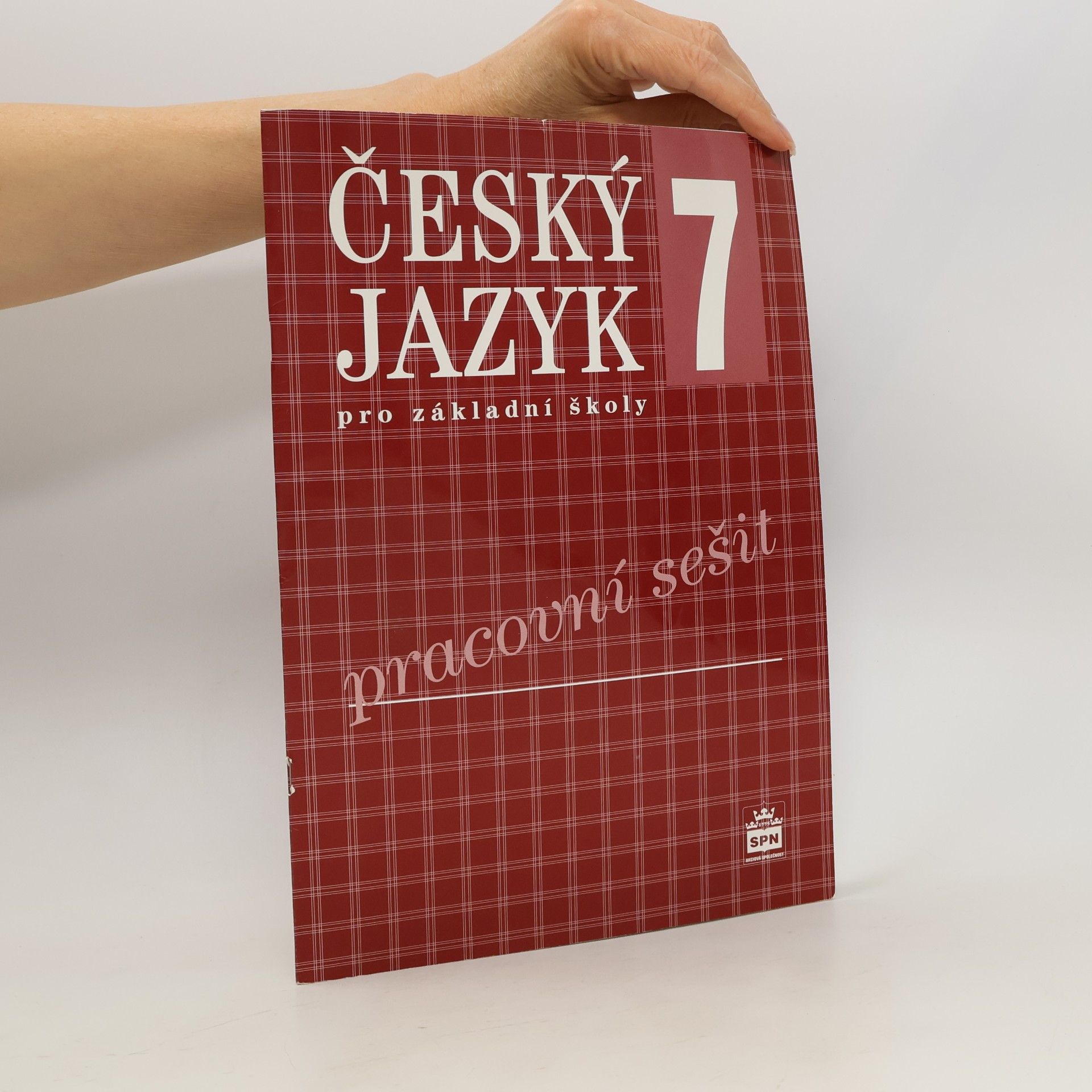 Český jazyk 7 pro ZŠ pracovní sešit