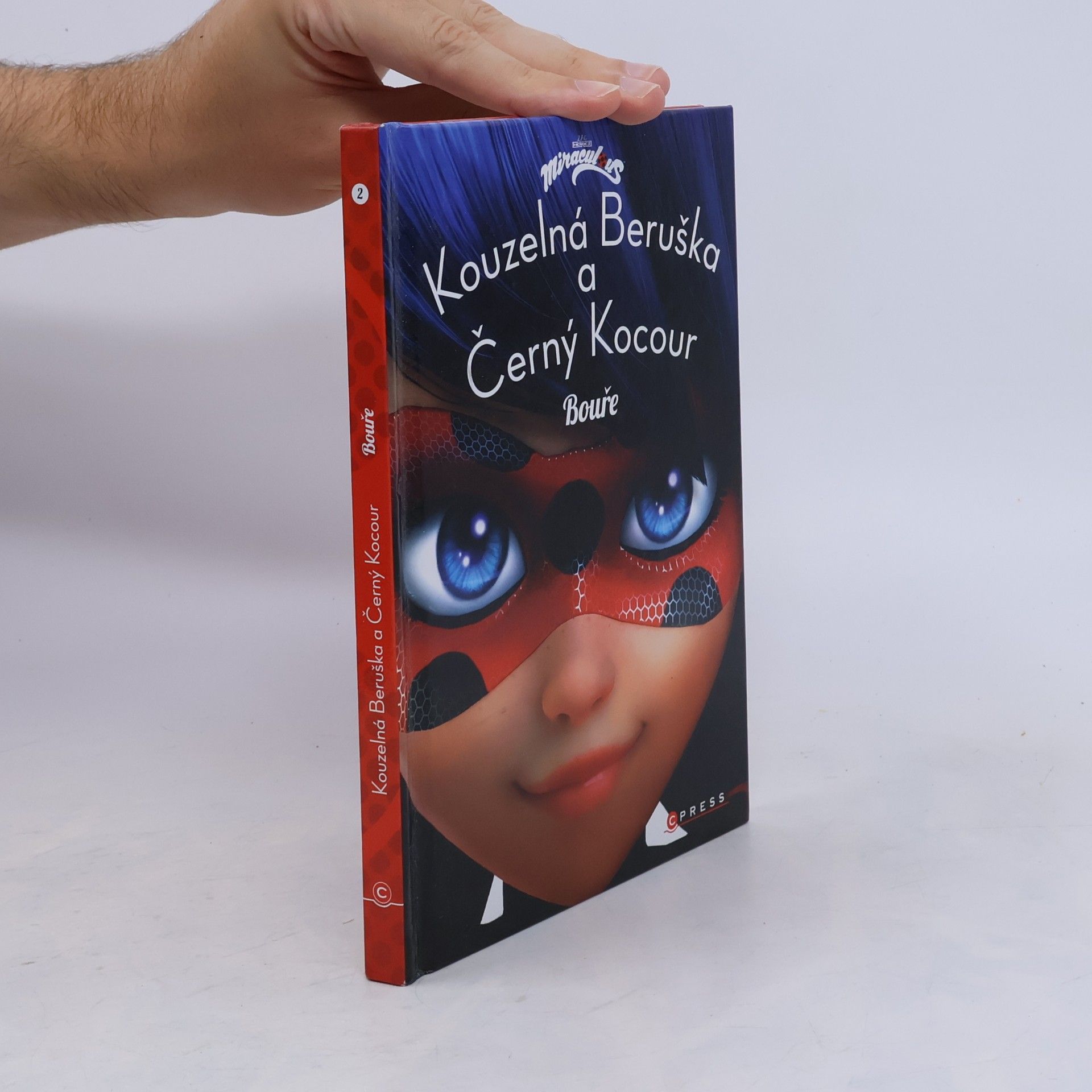Kateřina Hošková Kouzelná Beruška a Černý Kocour. Bouře