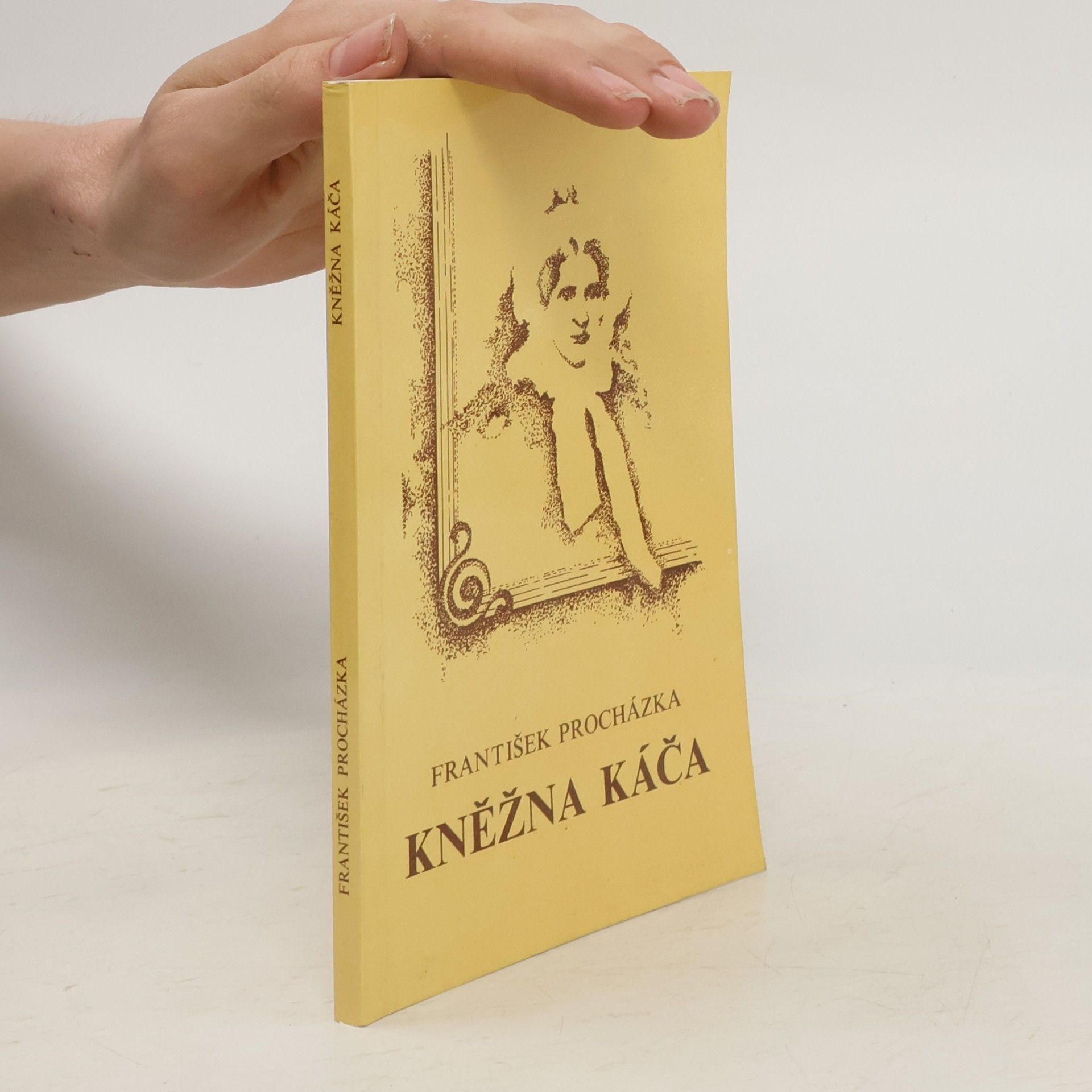 Kněžna Káča : z minulosti pošumavského kraje