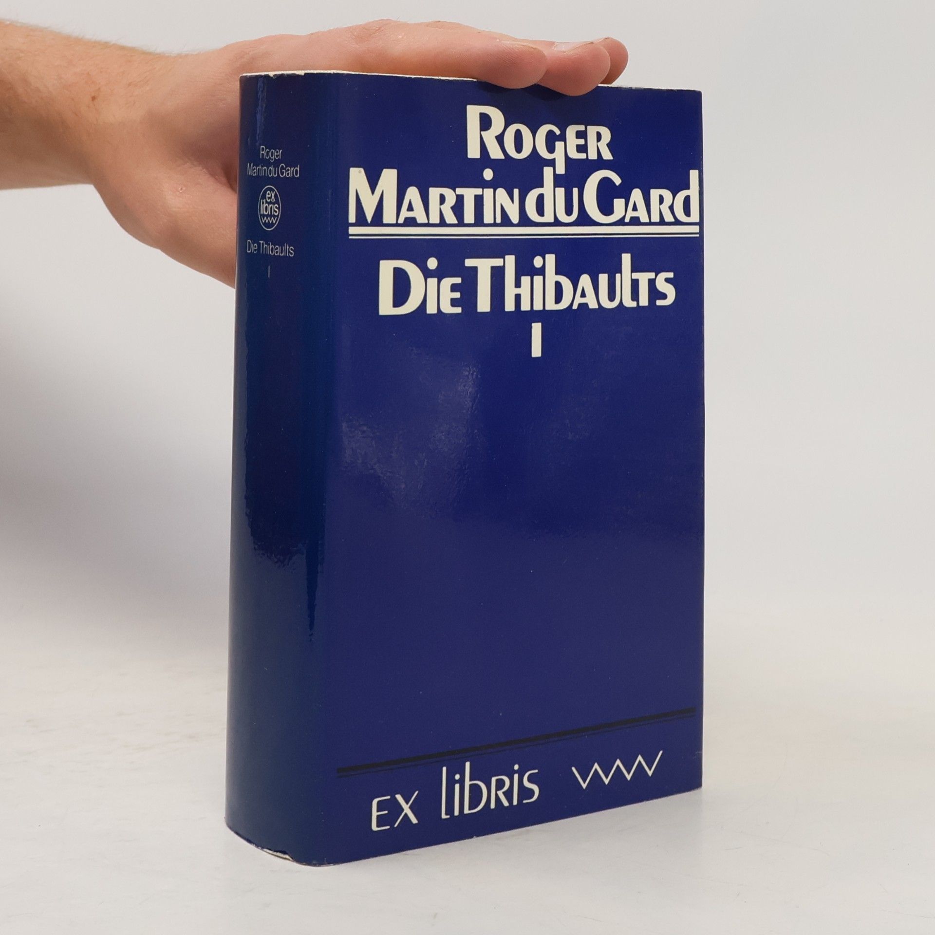 Roger Martin du Gard Die Thibaults I