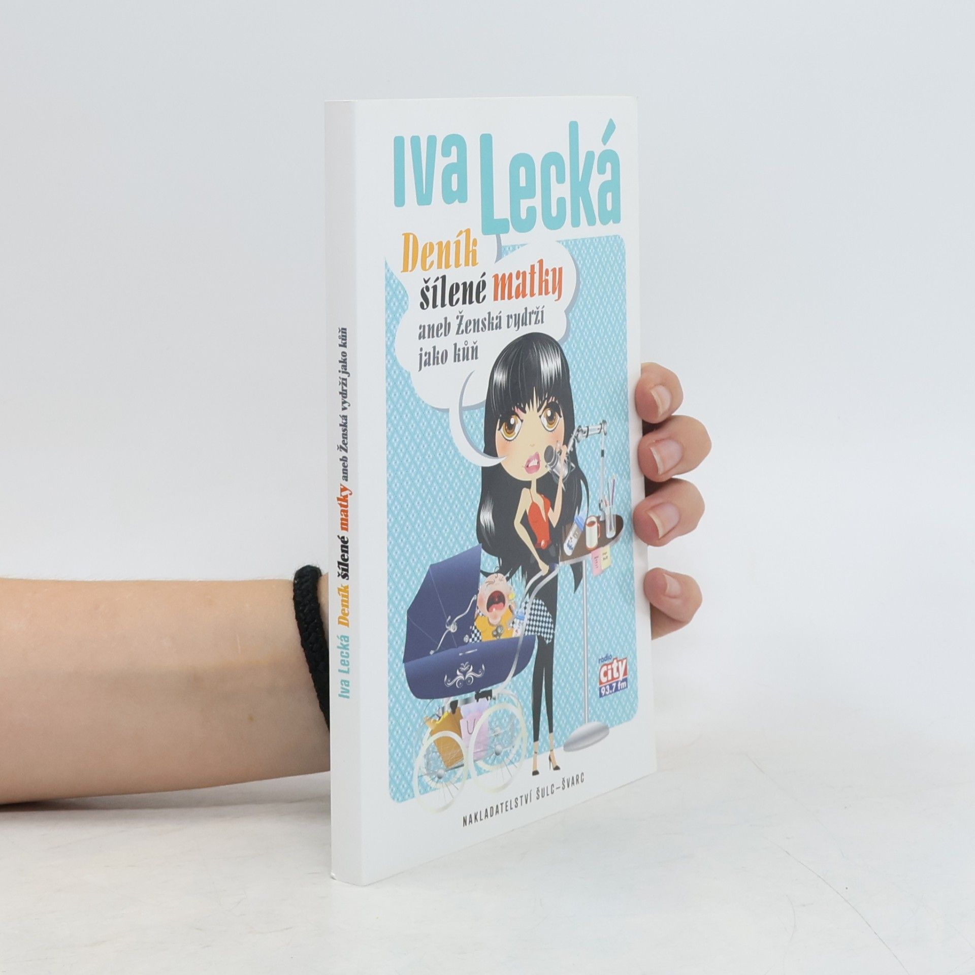 Iva Lecká Deník šílené matky