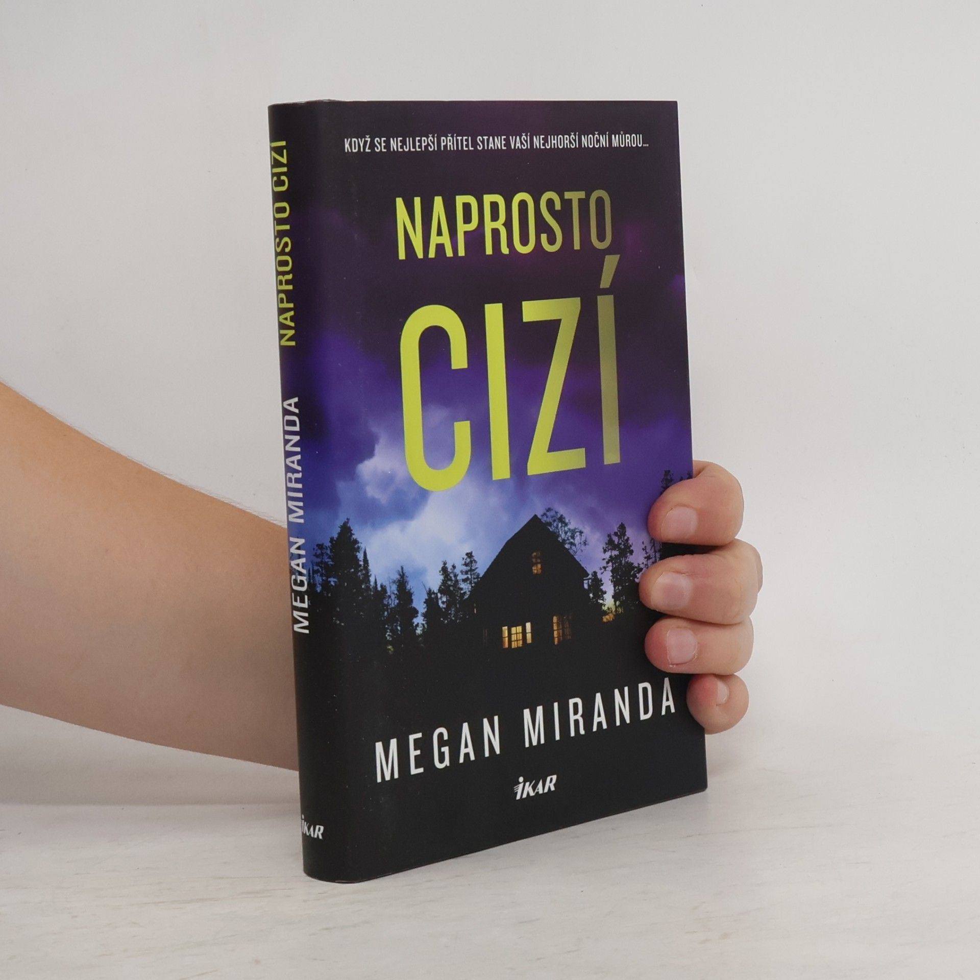 Megan Miranda Naprosto cizí