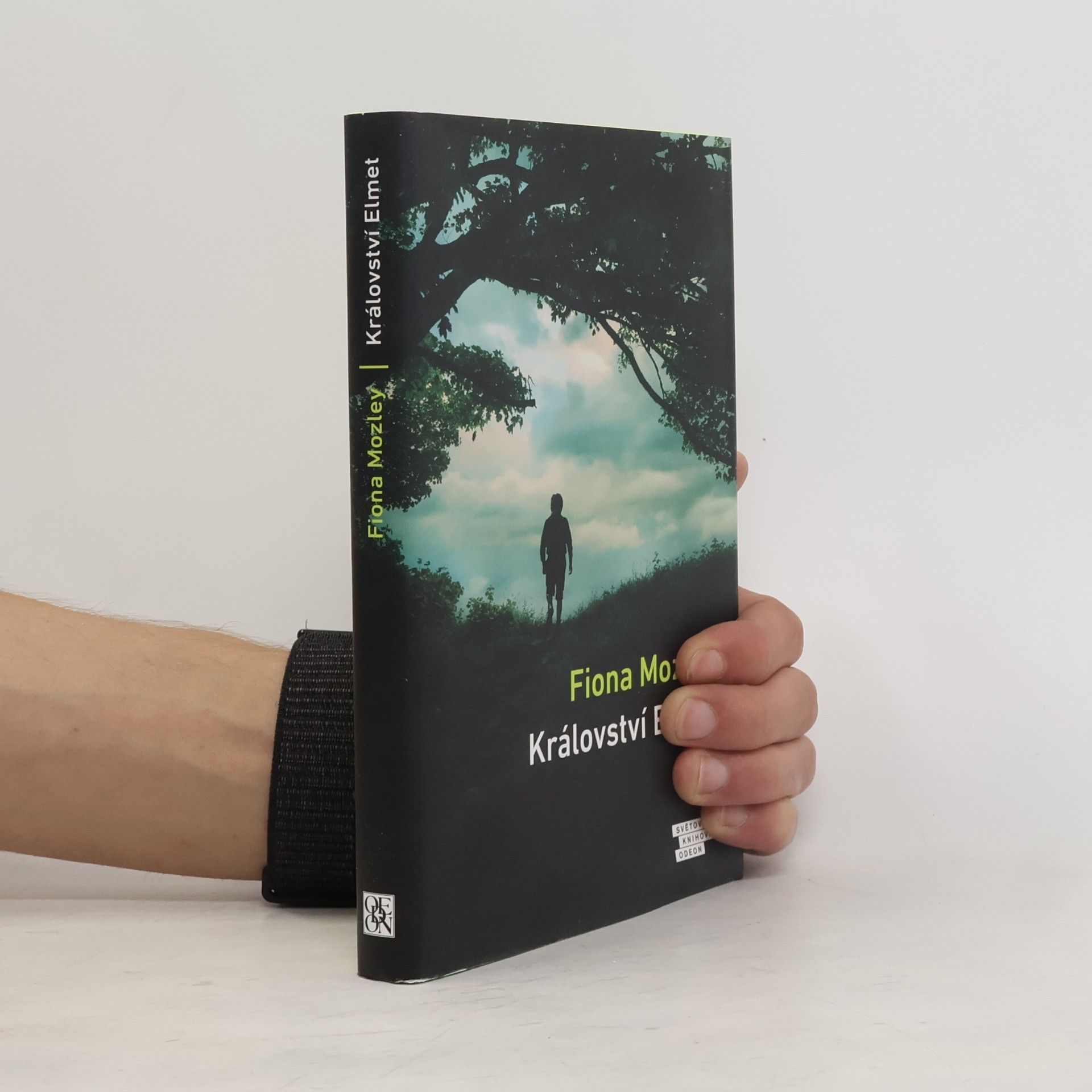 Fiona Mozley Království Elmet
