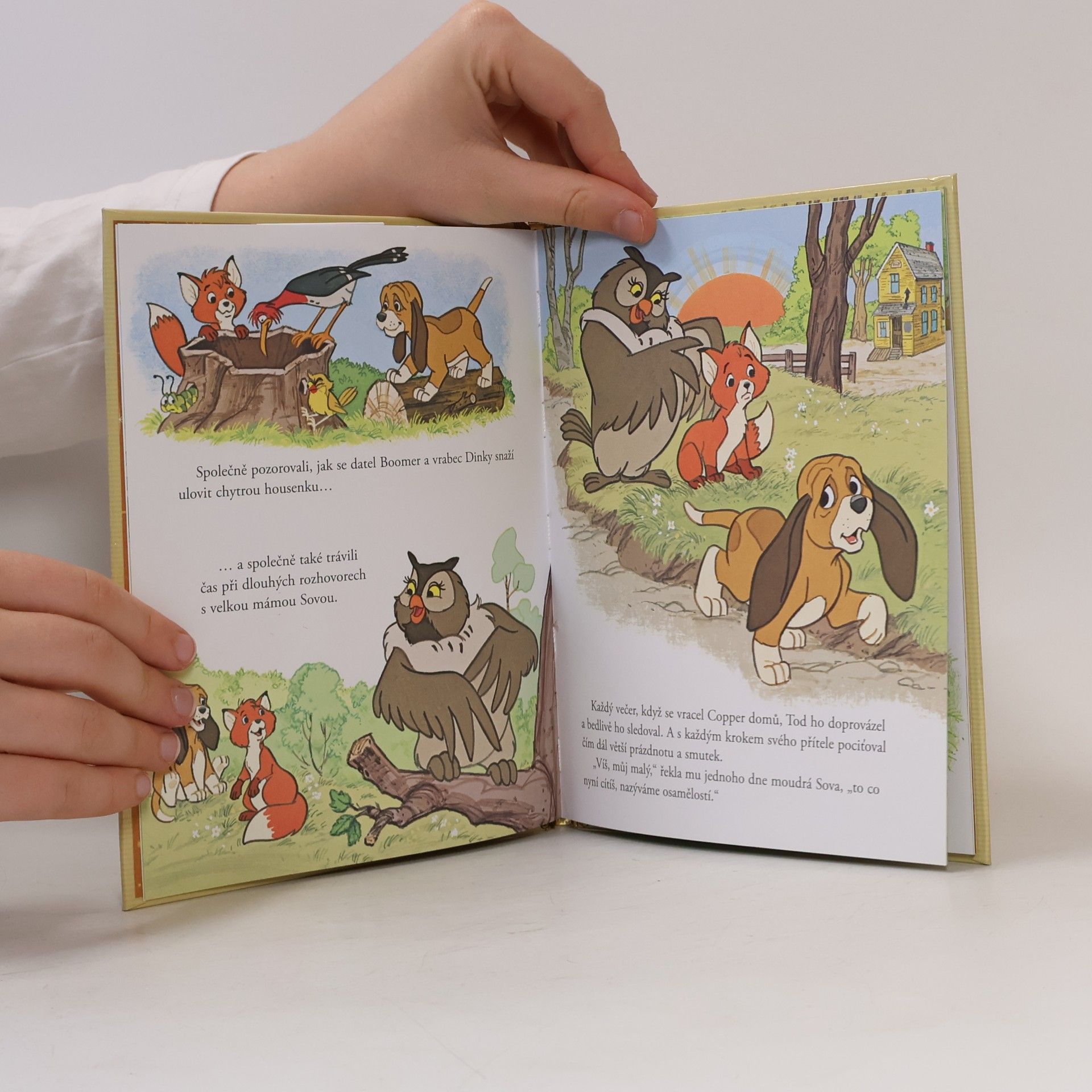 Various authors Zlatá sbírka pohádek 37. Liška a pes