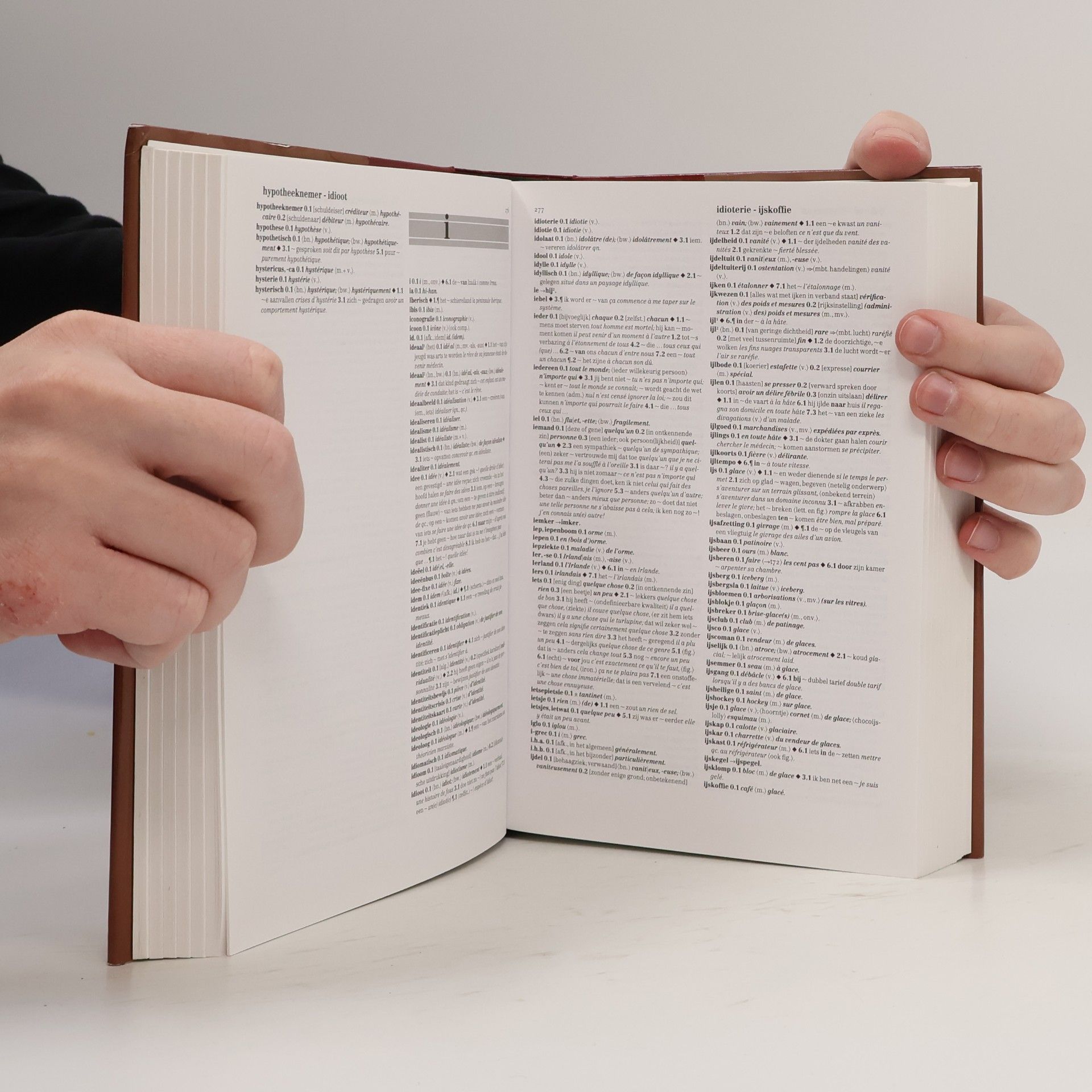 Paul Bogaards Van Dale handwoordenboek Nederlands-Frans