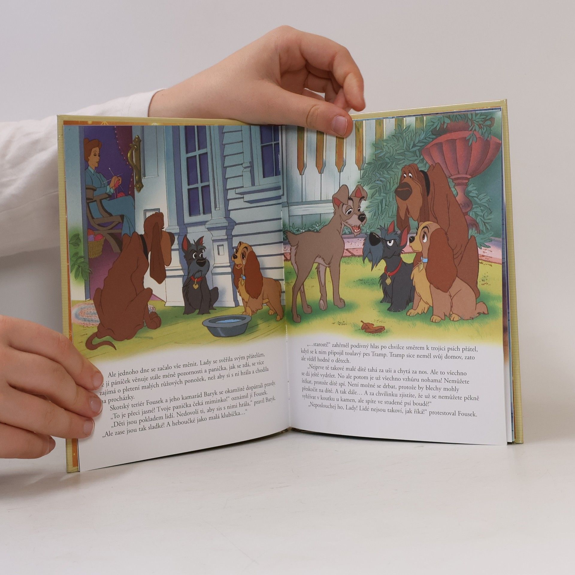 Walt Disney Zlatá sbírka pohádek 31. Lady a Tramp