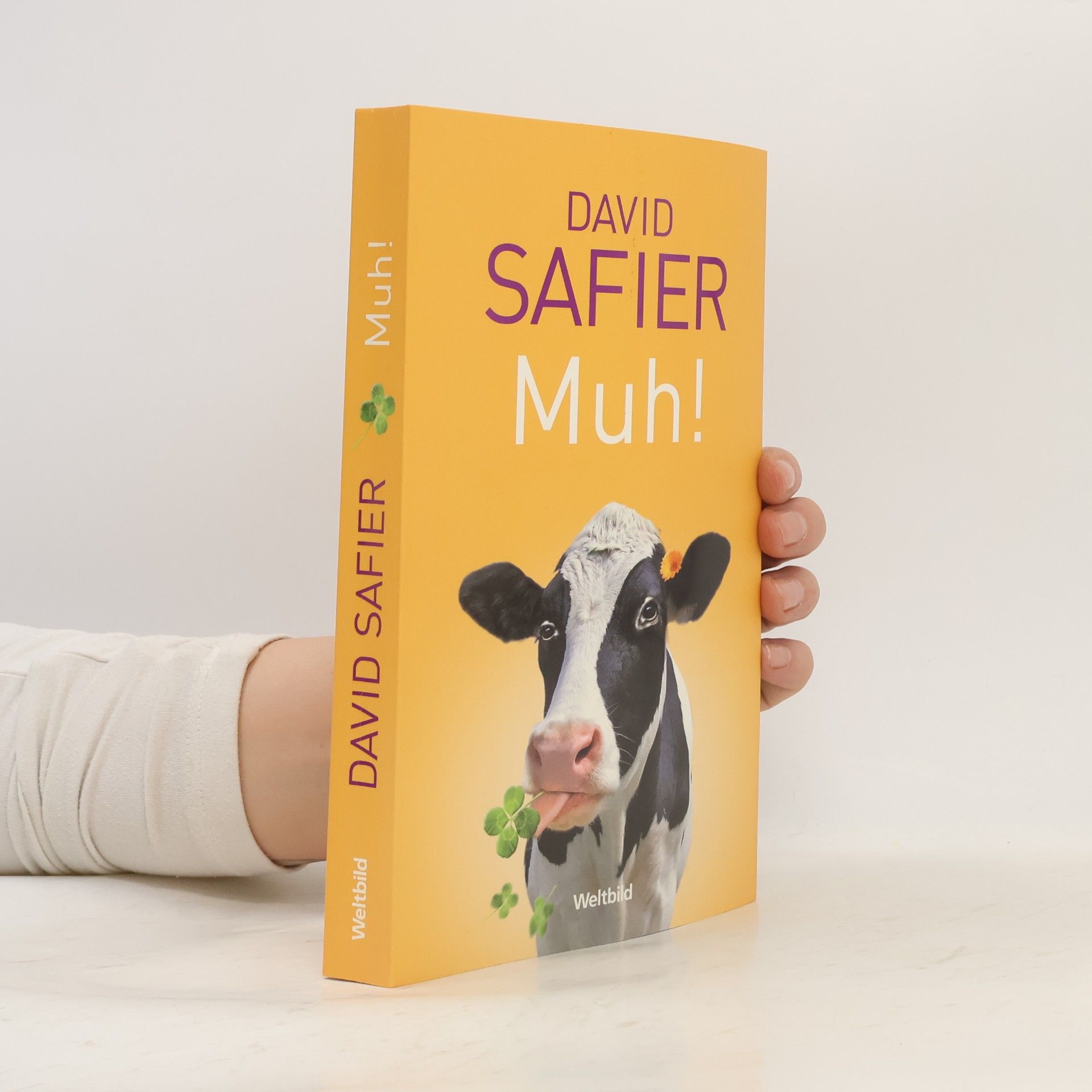 David Safier Muh!